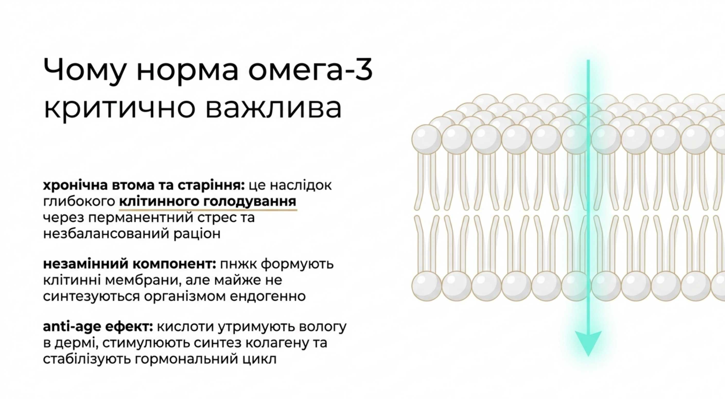 Фізіологічна роль. Чому норма омега 3 для жінок критично важлива