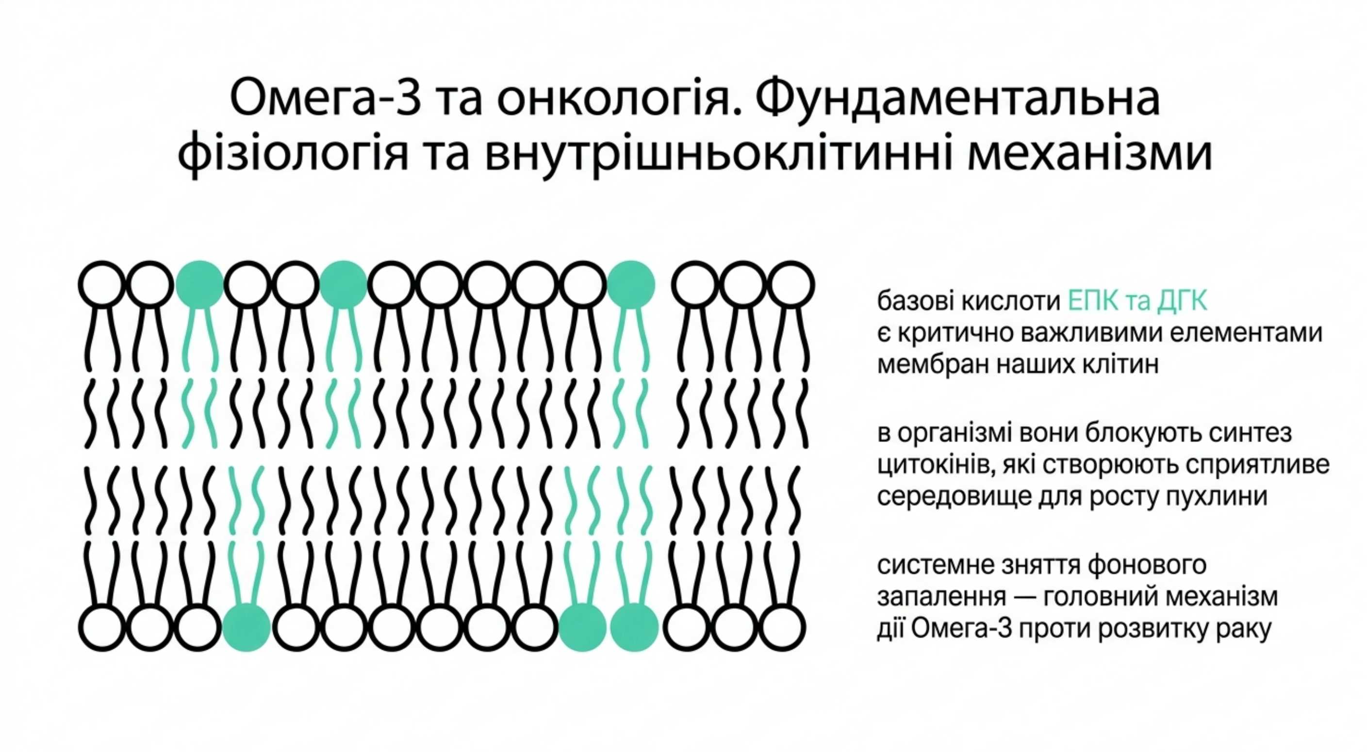 Омега 3 і онкологія. Фундаментальна фізіологія і внутриклітинні механізми