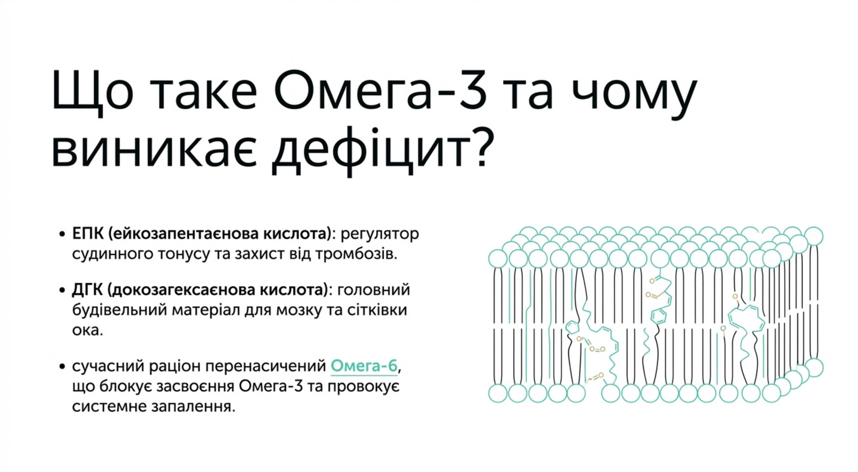 Що таке Омега-3 і чому виникає дефіцит?