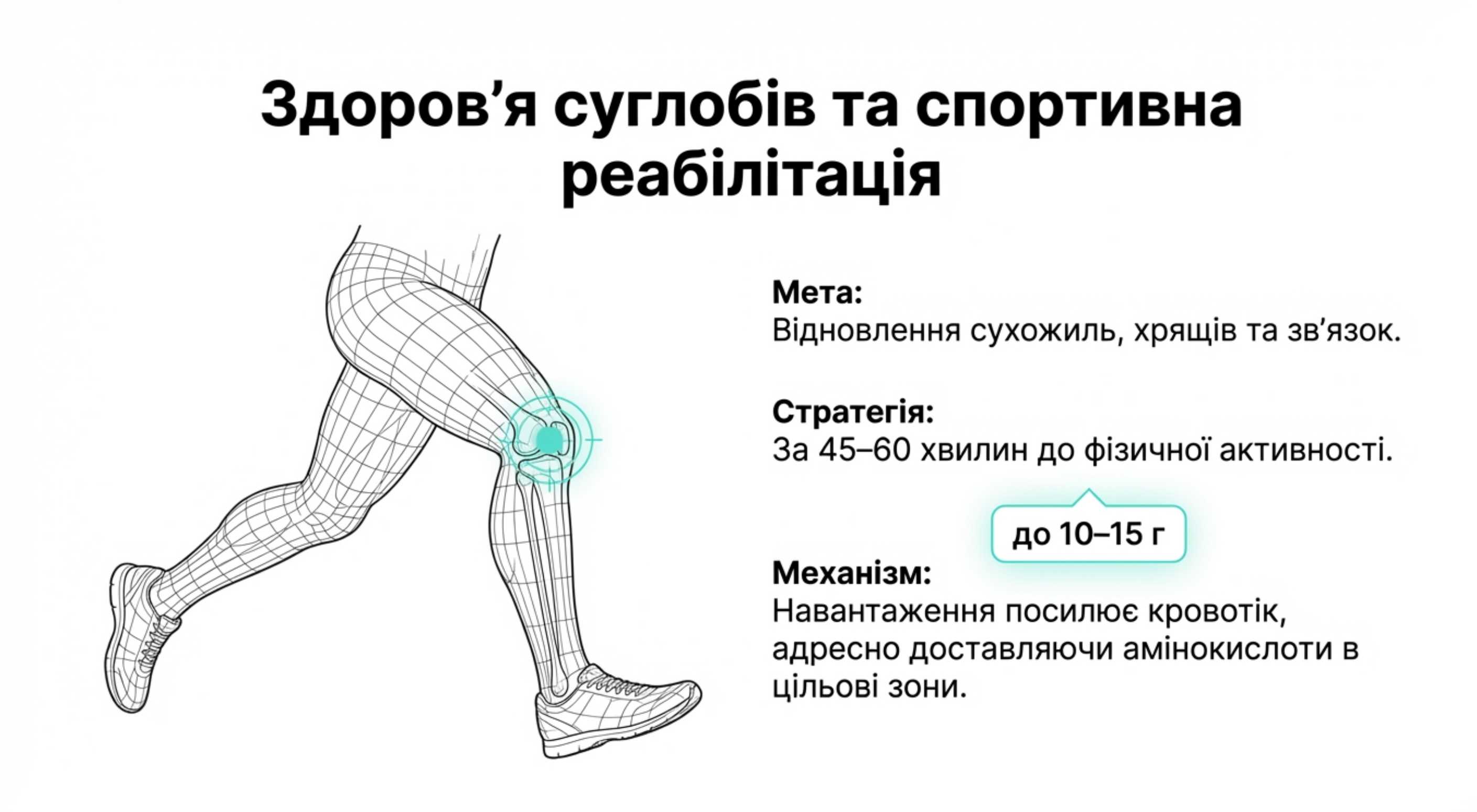 Протокол 2: Здоров’я суглобів і спортивна реабілітація