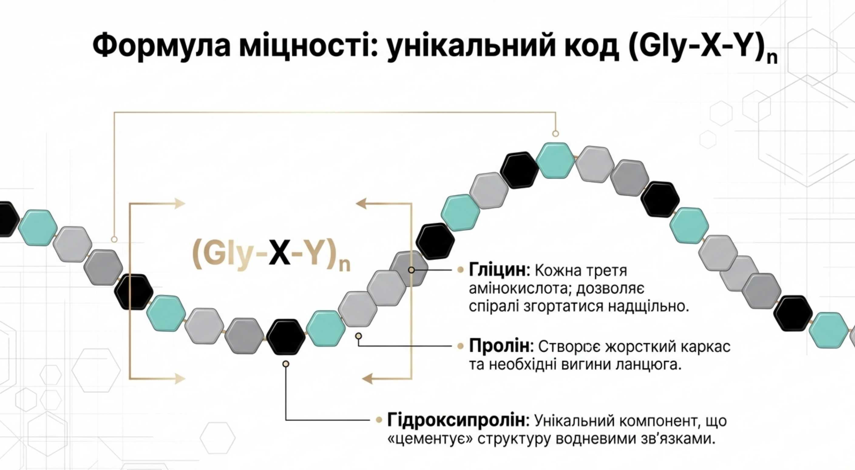 Первинна структура і амінокислотний код