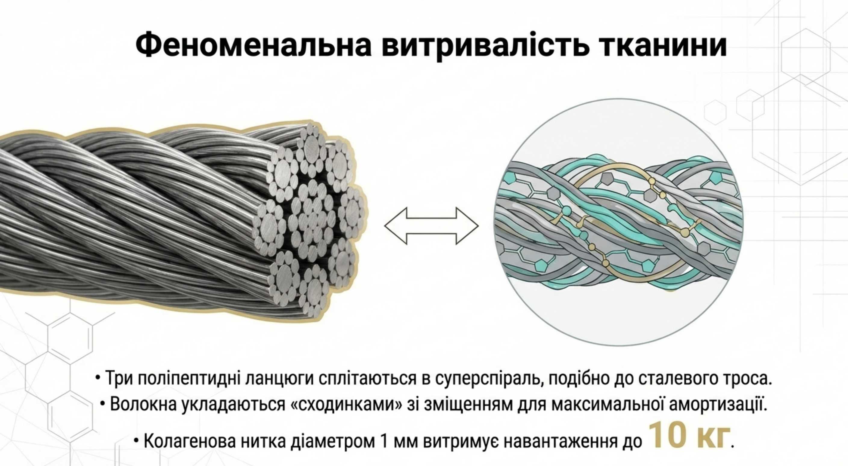 Вторинна і третинна структура коллагена