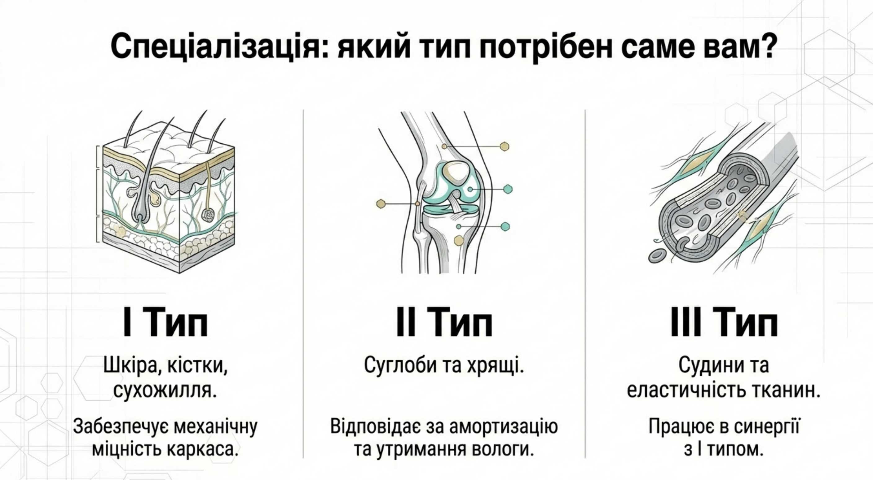 Четвертична структура. Формування волокон