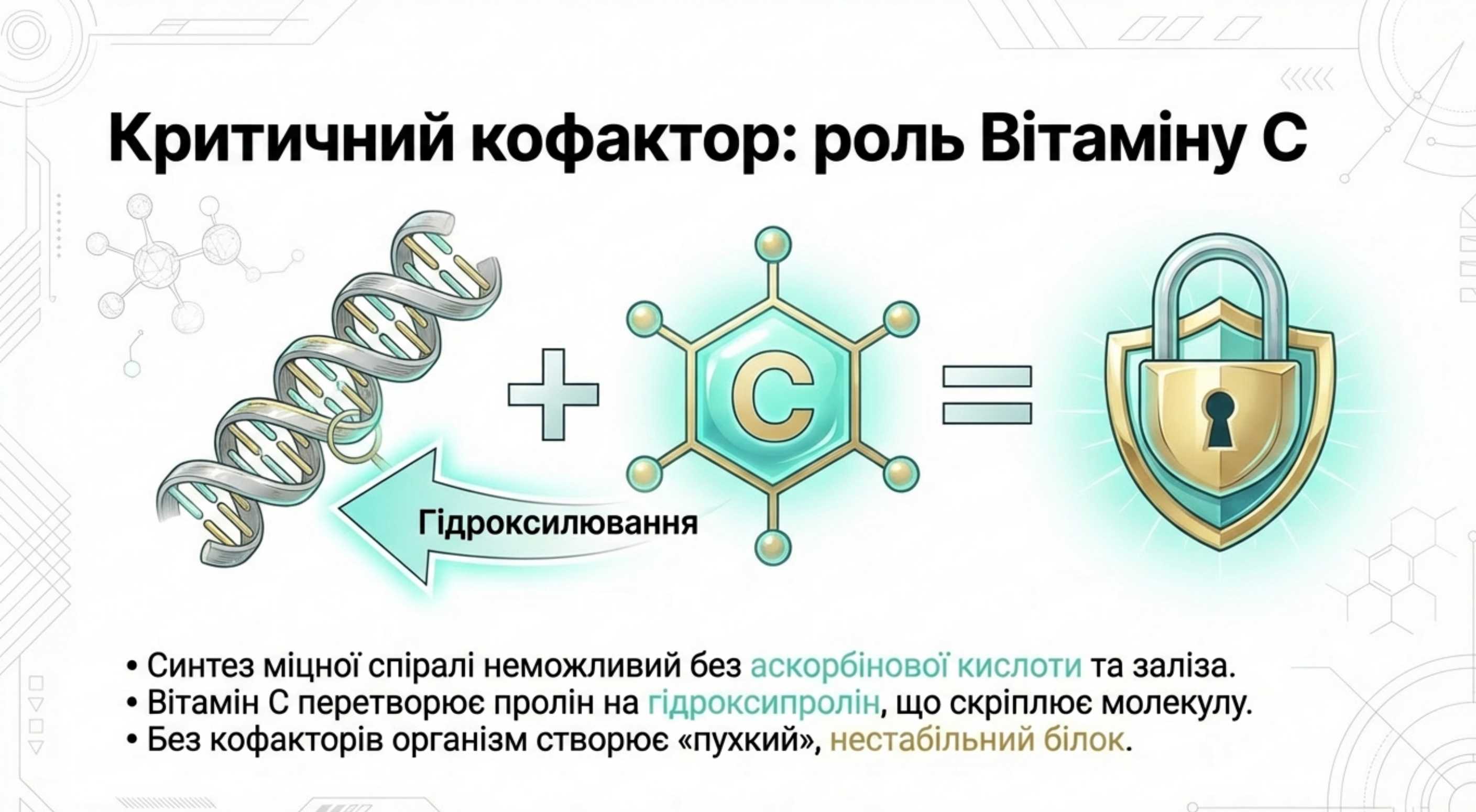 Критична роль Вітаміну С