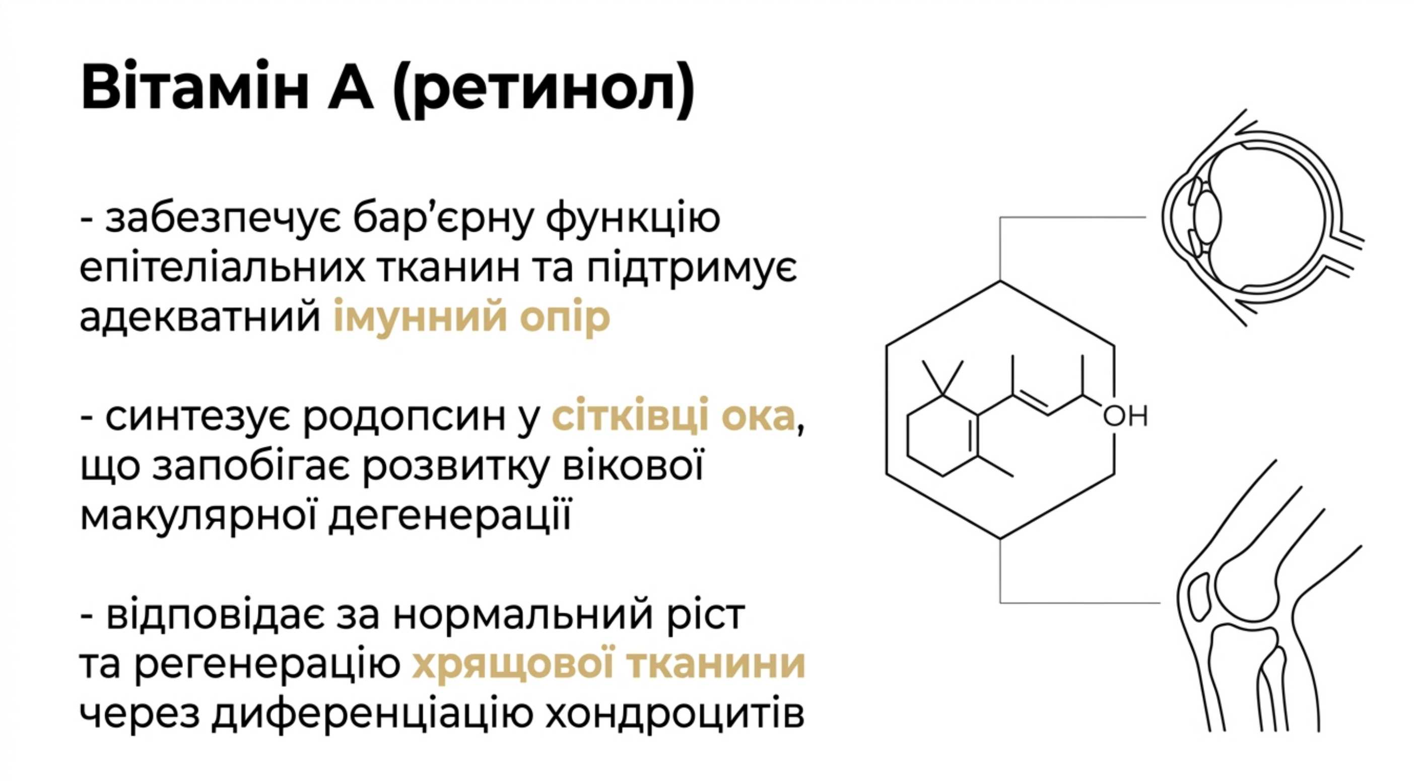 Витамин А (Ретинол)