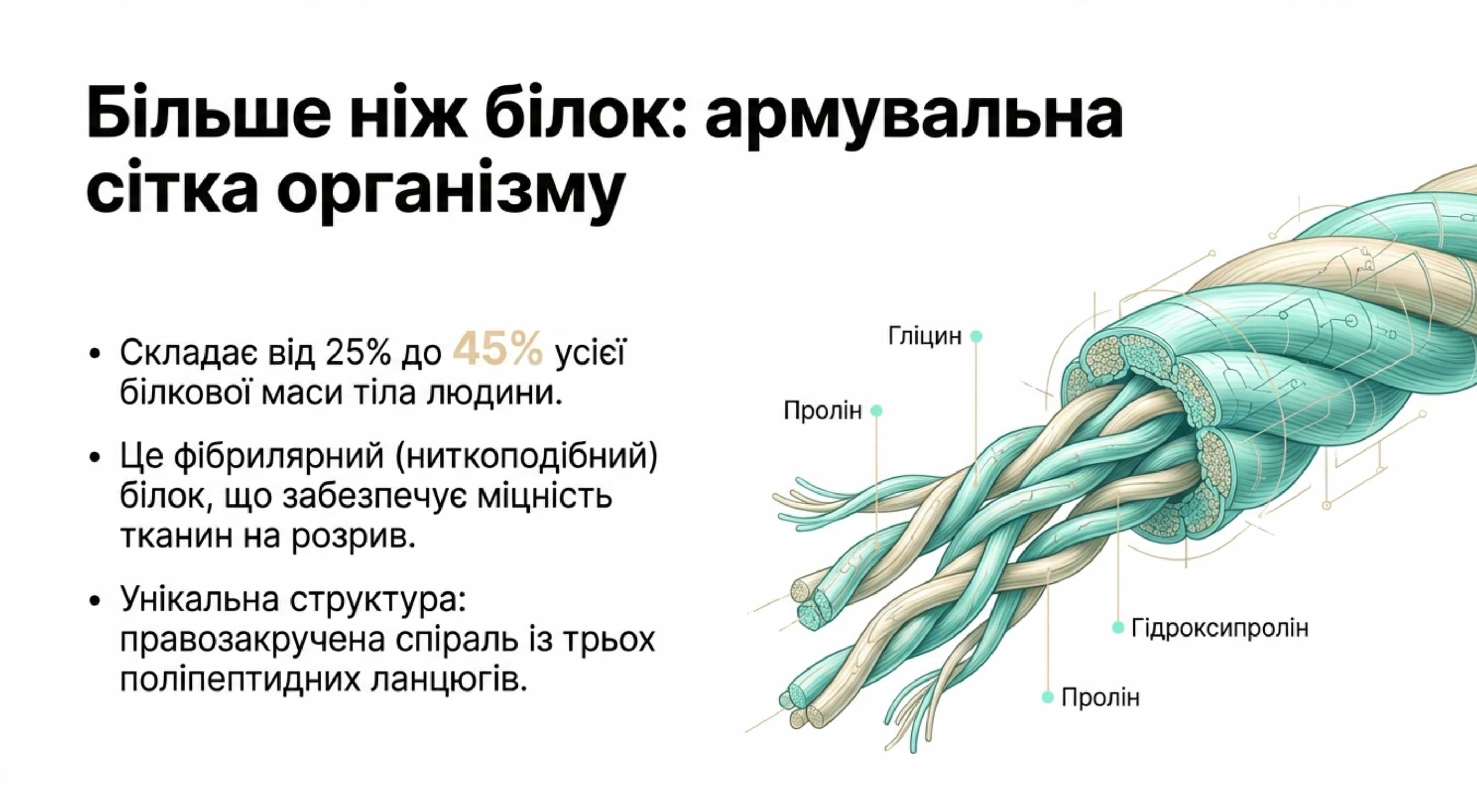 Структура та склад