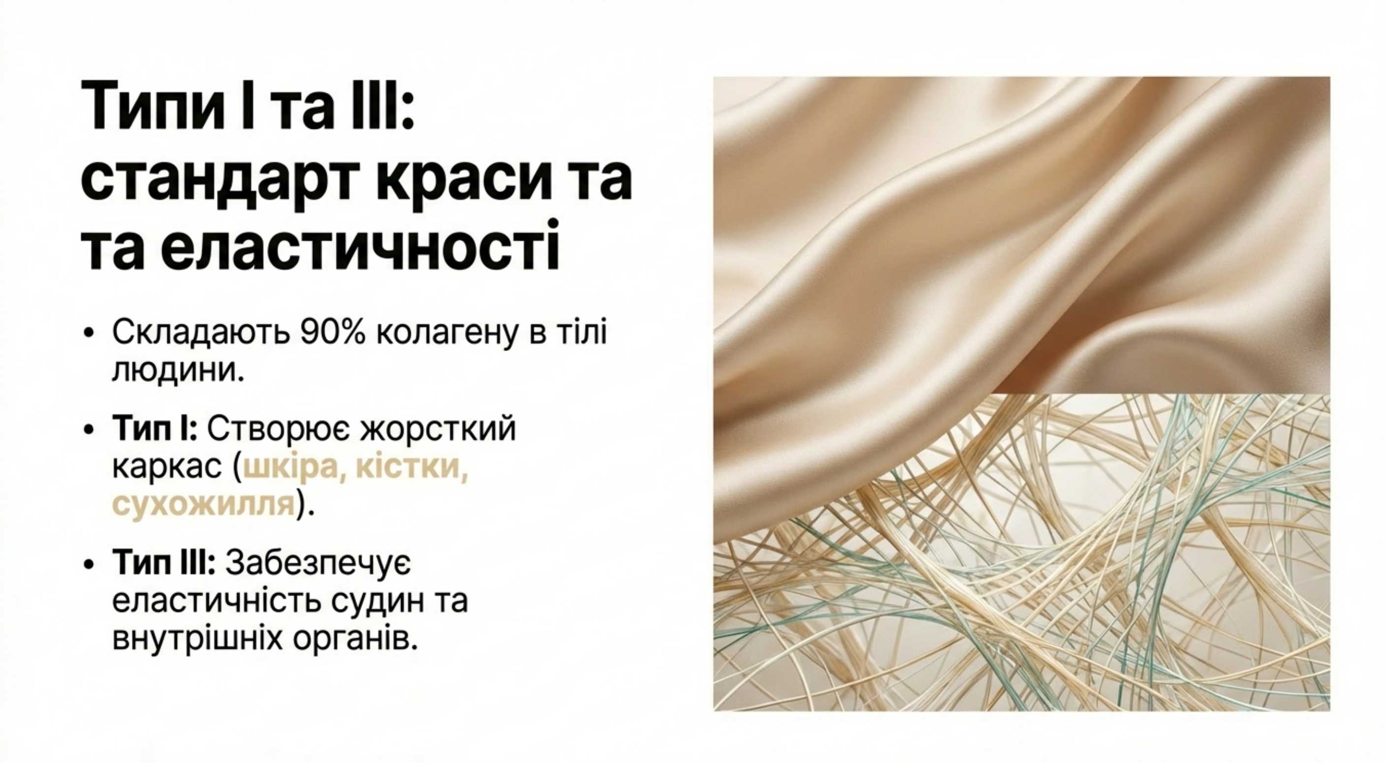 Типологія. Коллаген 1, 2, 3 типу і їх спеціалізація