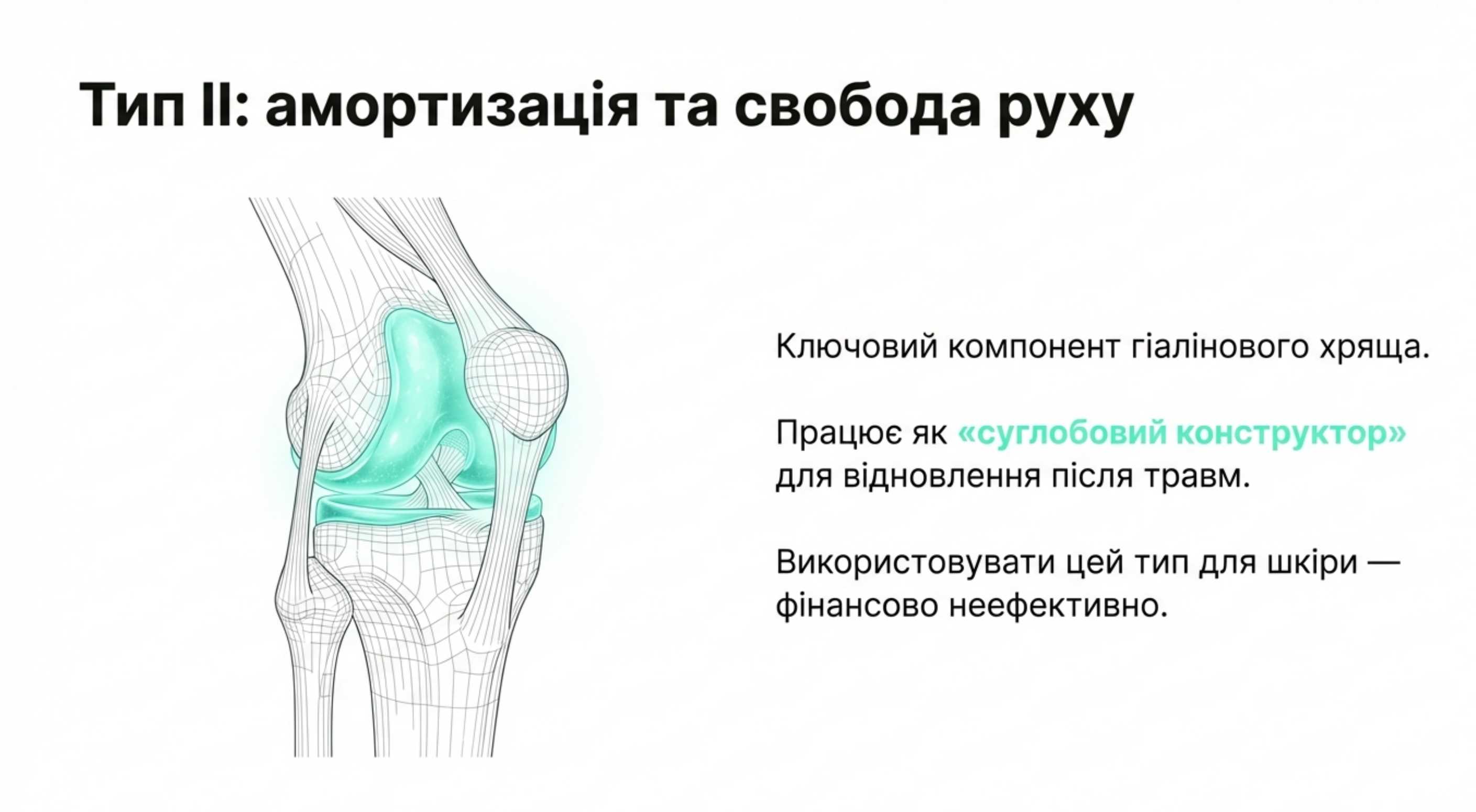 Коллаген I та III типу. Молодість та краса