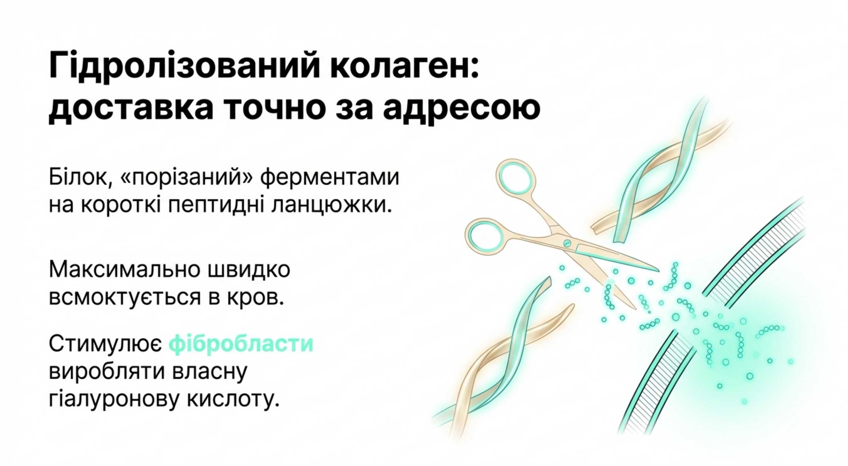 Технологічні форми. Від нативного до пептидів