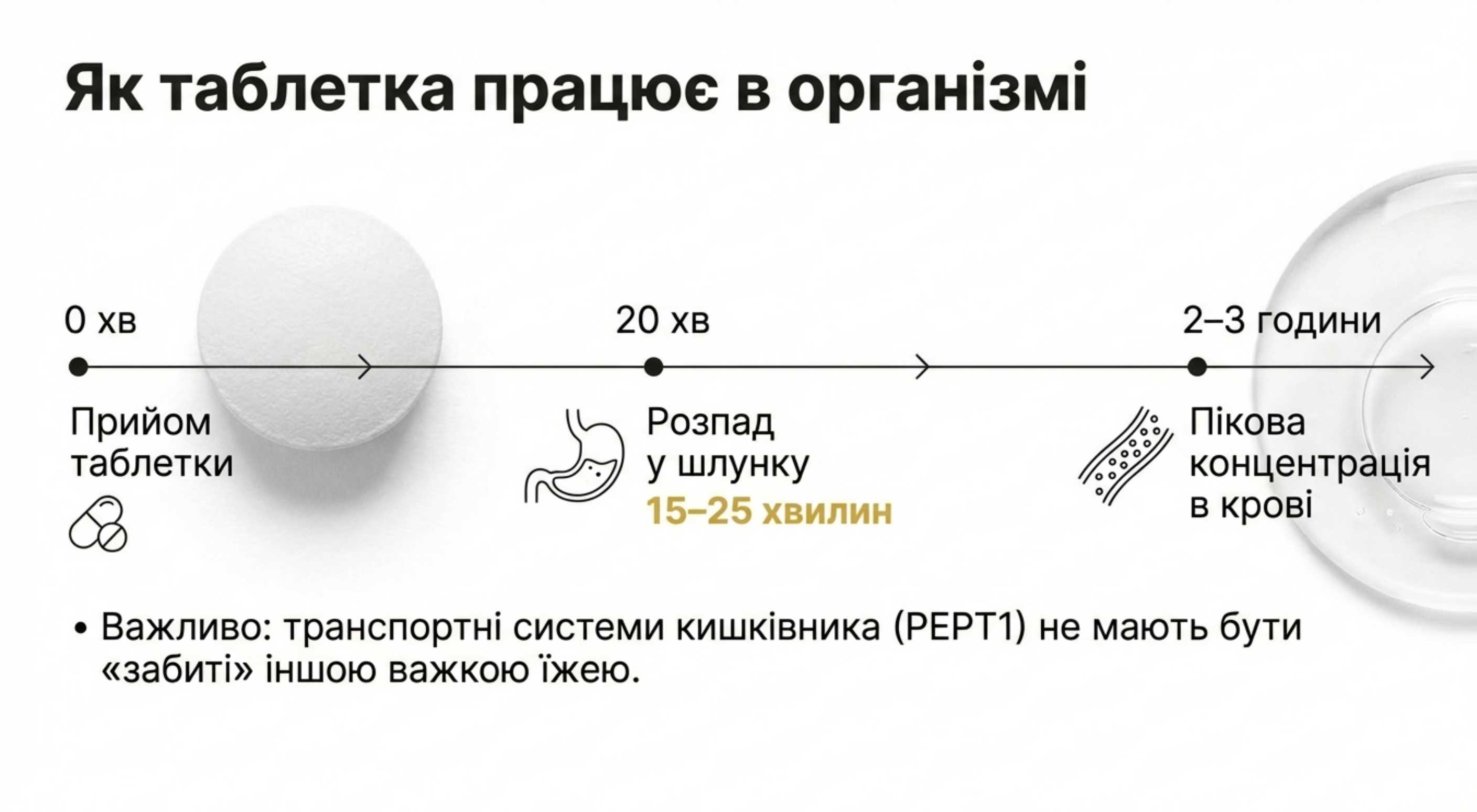 Фармакокінетика та час розпаду