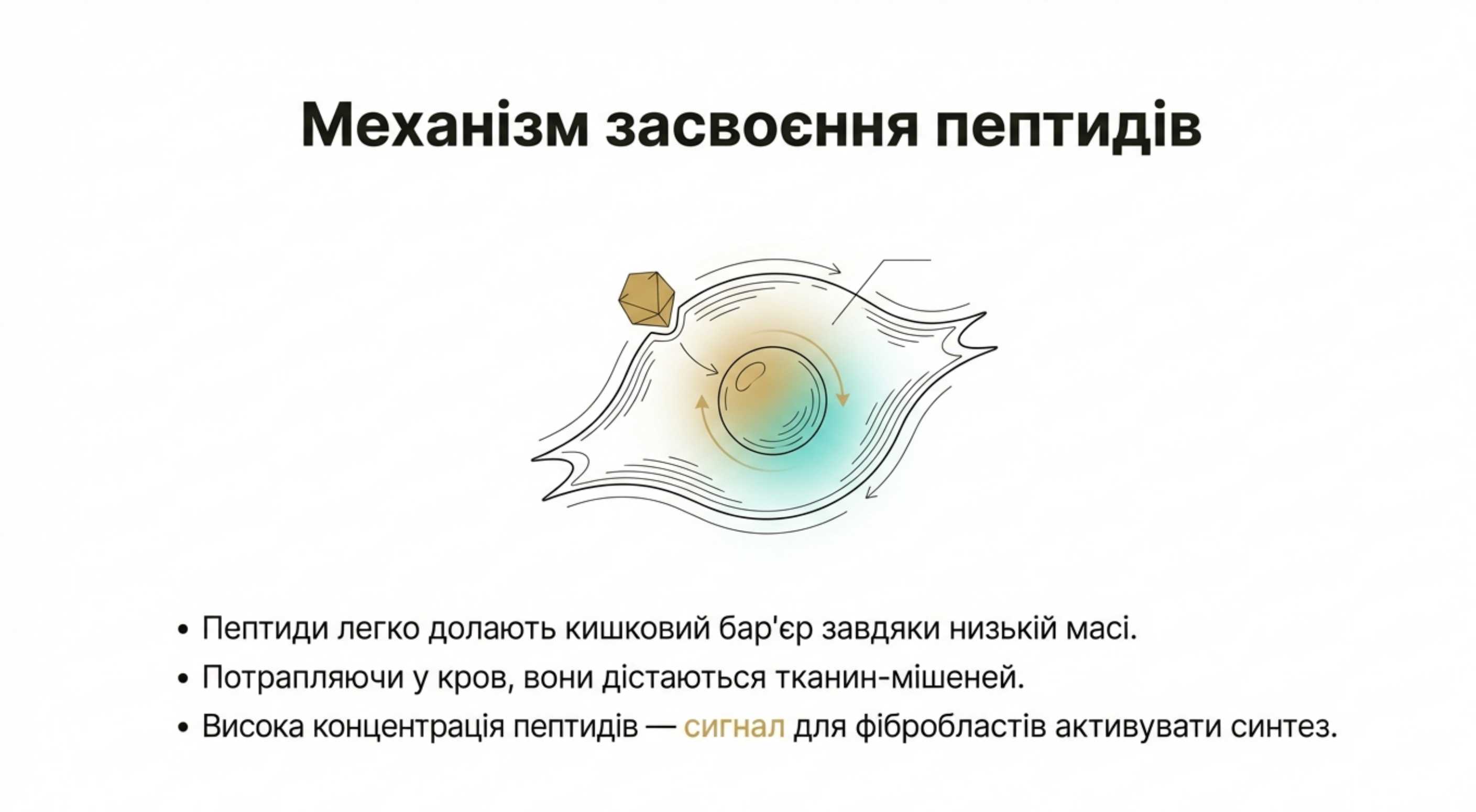 Механізм засвоєння