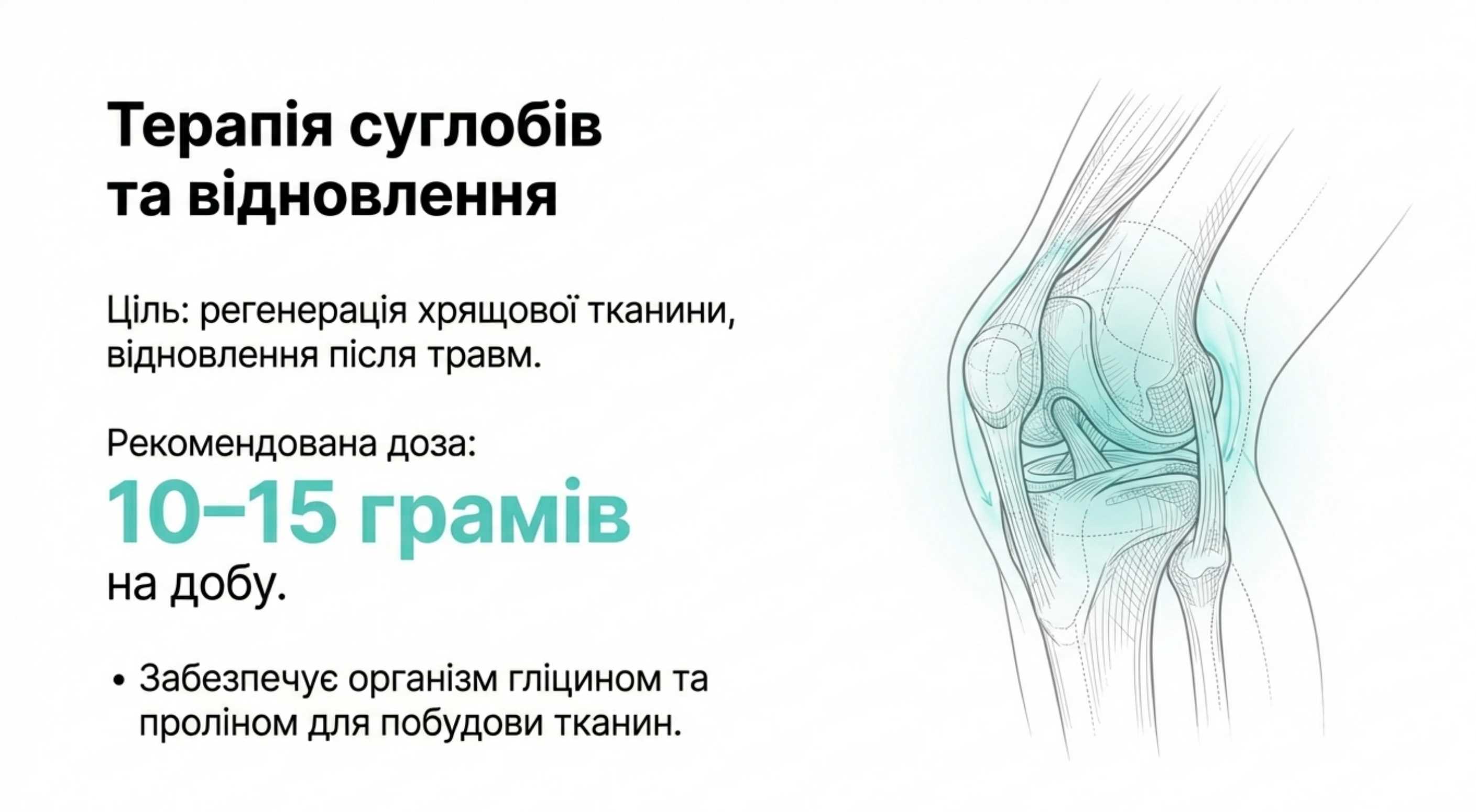 Терапія суглобів та відновлення (Спорт, Вік 40+)