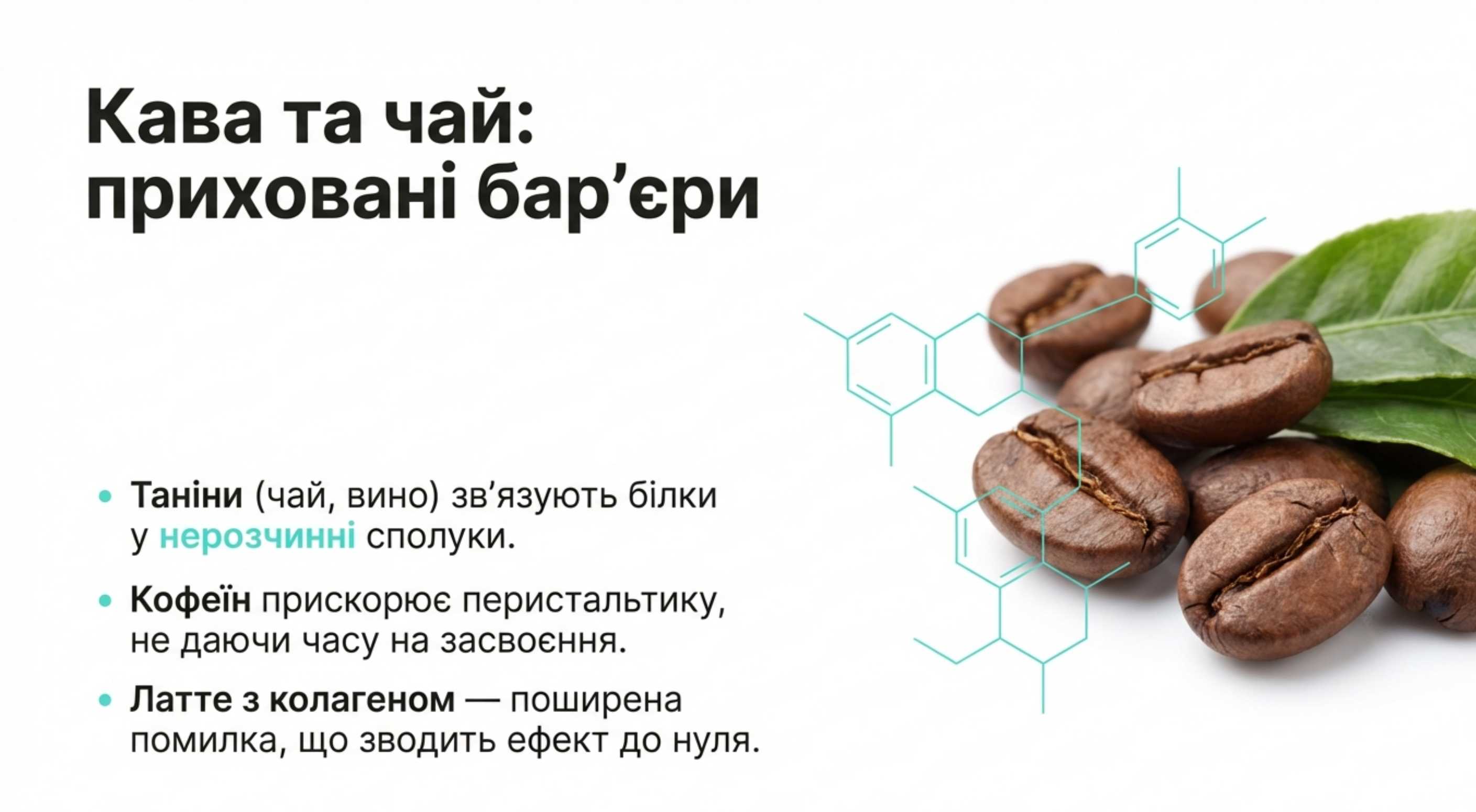 4. Таніні та кофеїн