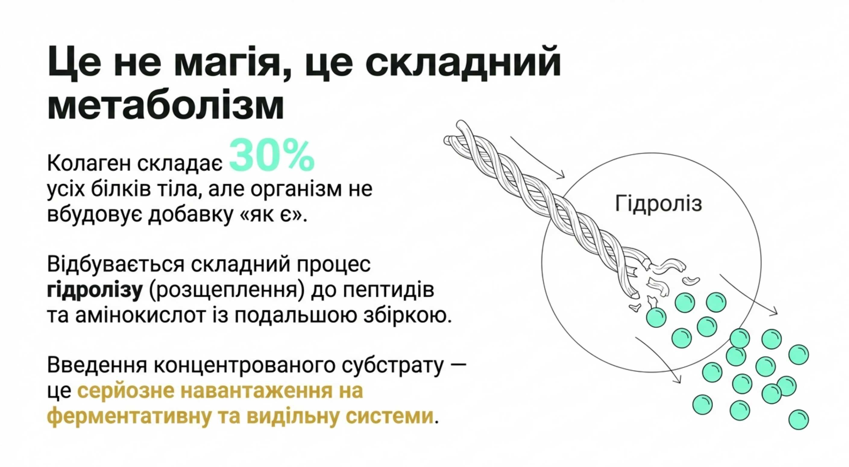 Анатомія питання. Чому білок може бути небезпечний?