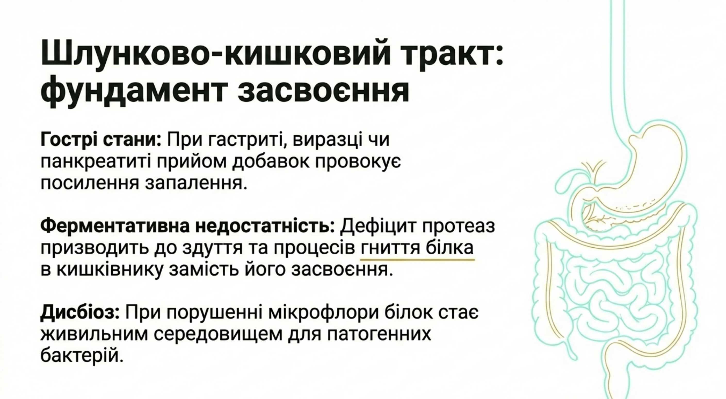 2. Захворювання шлунково-кишкового тракту (ШКТ)
