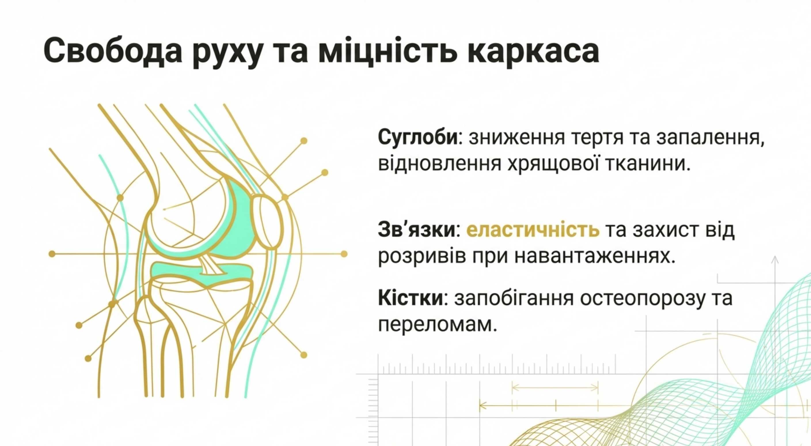 2. Опорно-руховий апарат. Коллаген що лікує і зміцнює