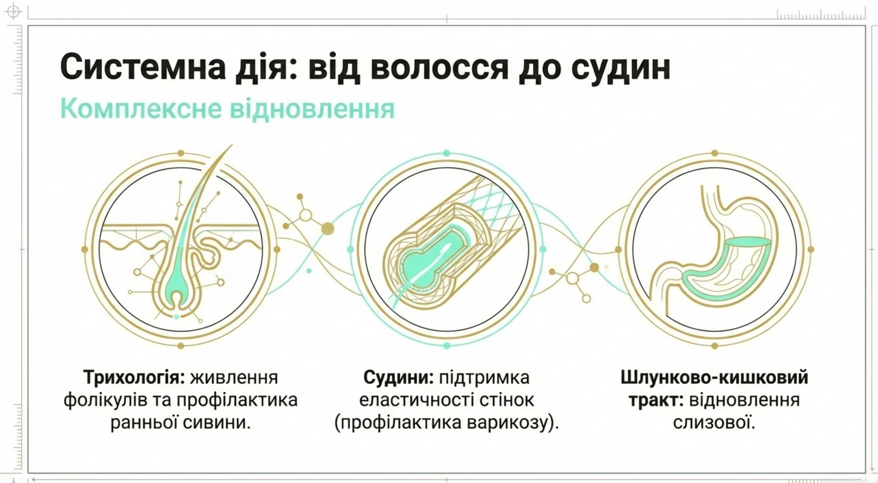 Для чого приймати коллаген [a] всередину. Системний вплив на організм