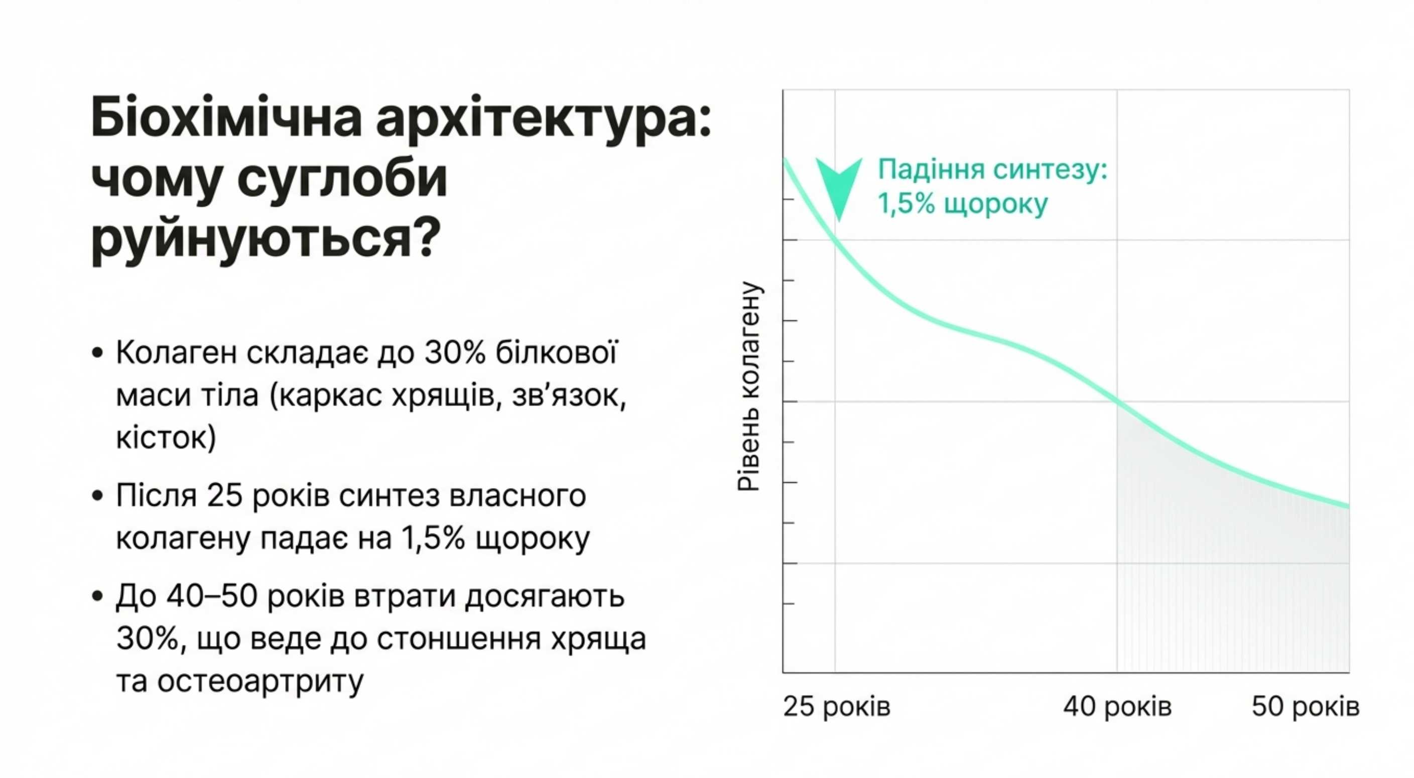 Біохімічна архітектура. Чому суглоби руйнуються