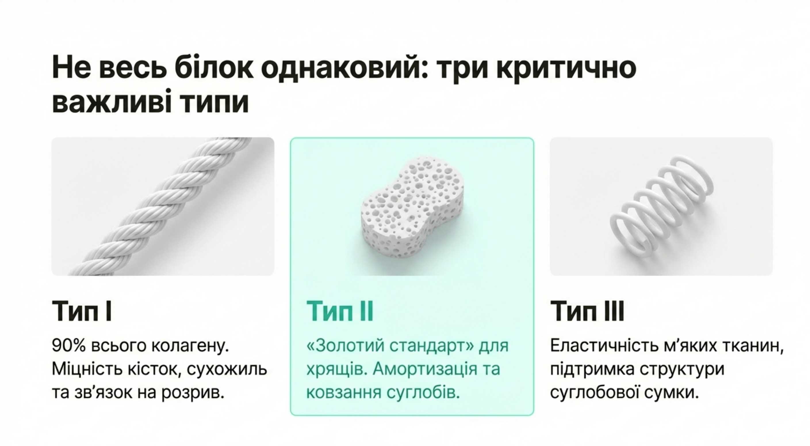 Типологія білка. Який коллаген потрібен для суглобів
