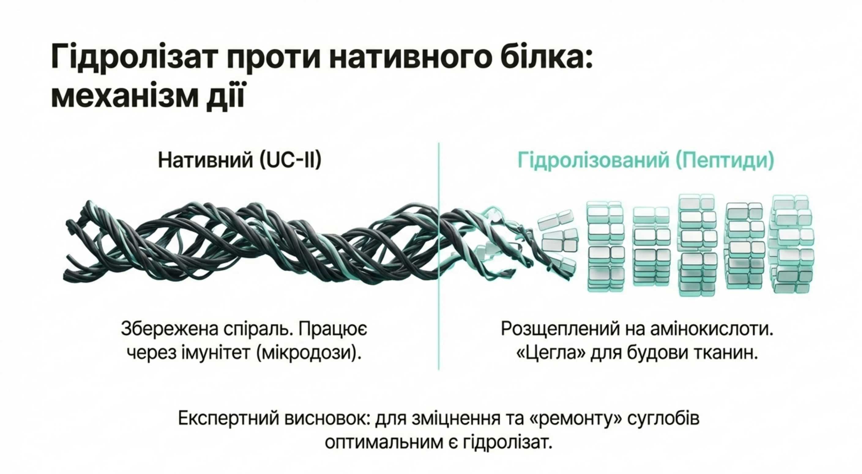 Технології обробки. Гідролізат проти Нативного білка