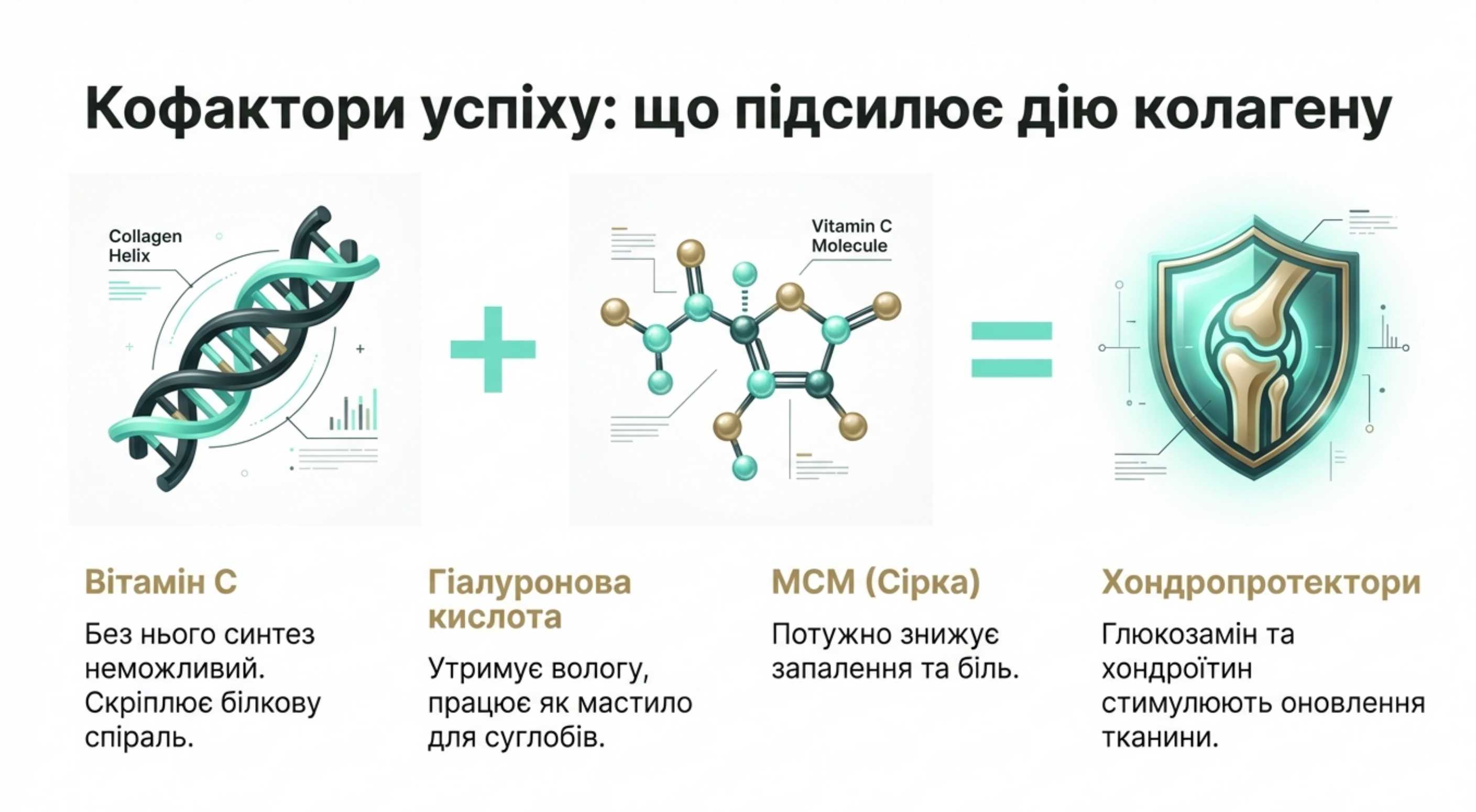 Синергія компонентів. Кофактори успіху