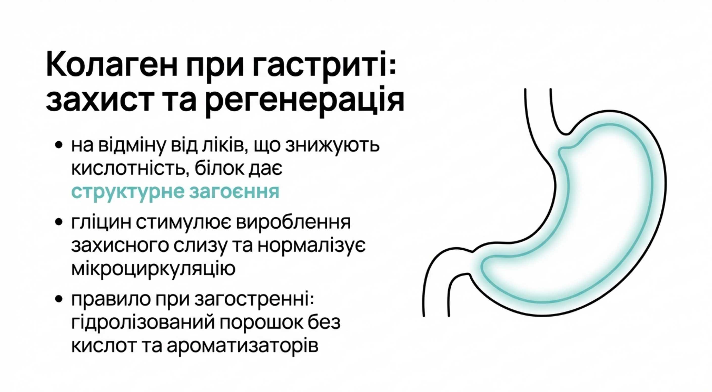 Колаген при гастриті. Захист і регенерація слизової оболонки