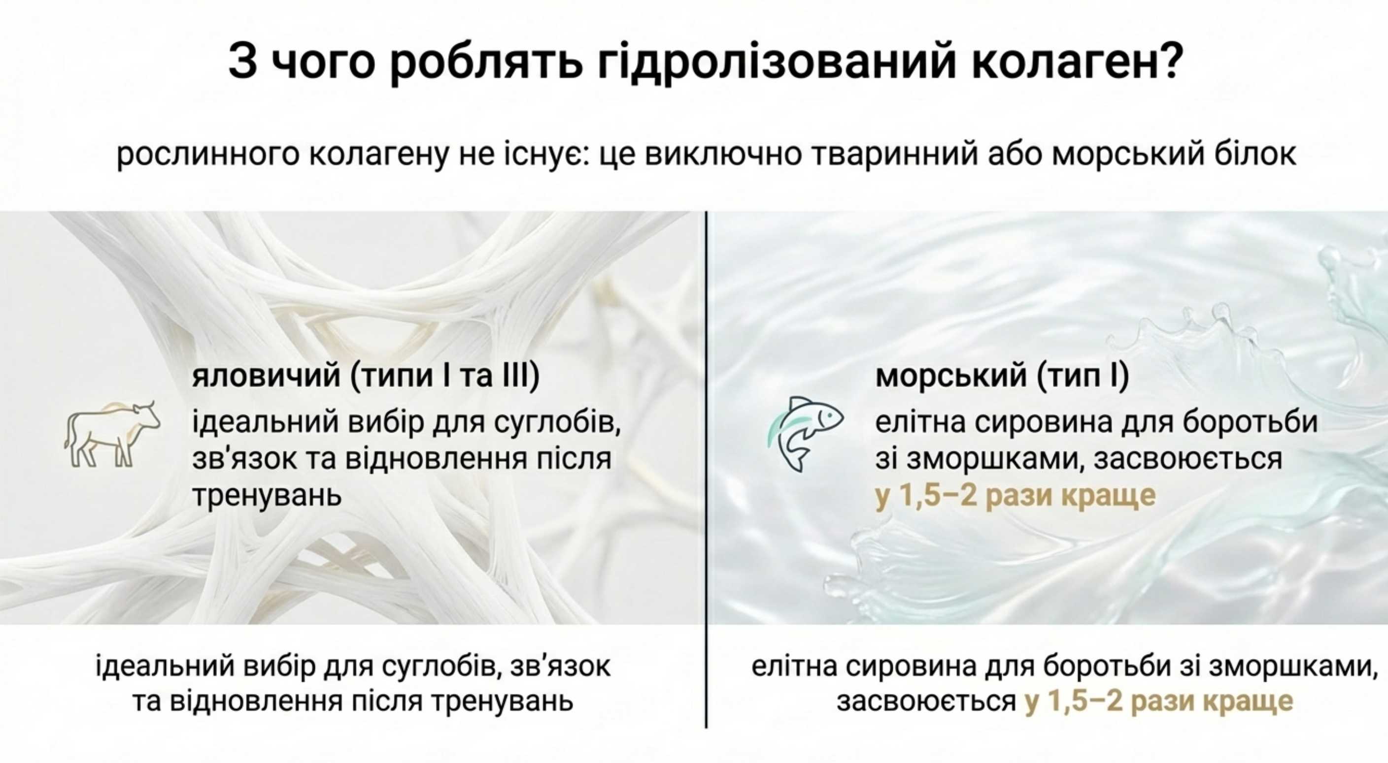 Сировинна база. Гідролізований коллаген з чого роблять?