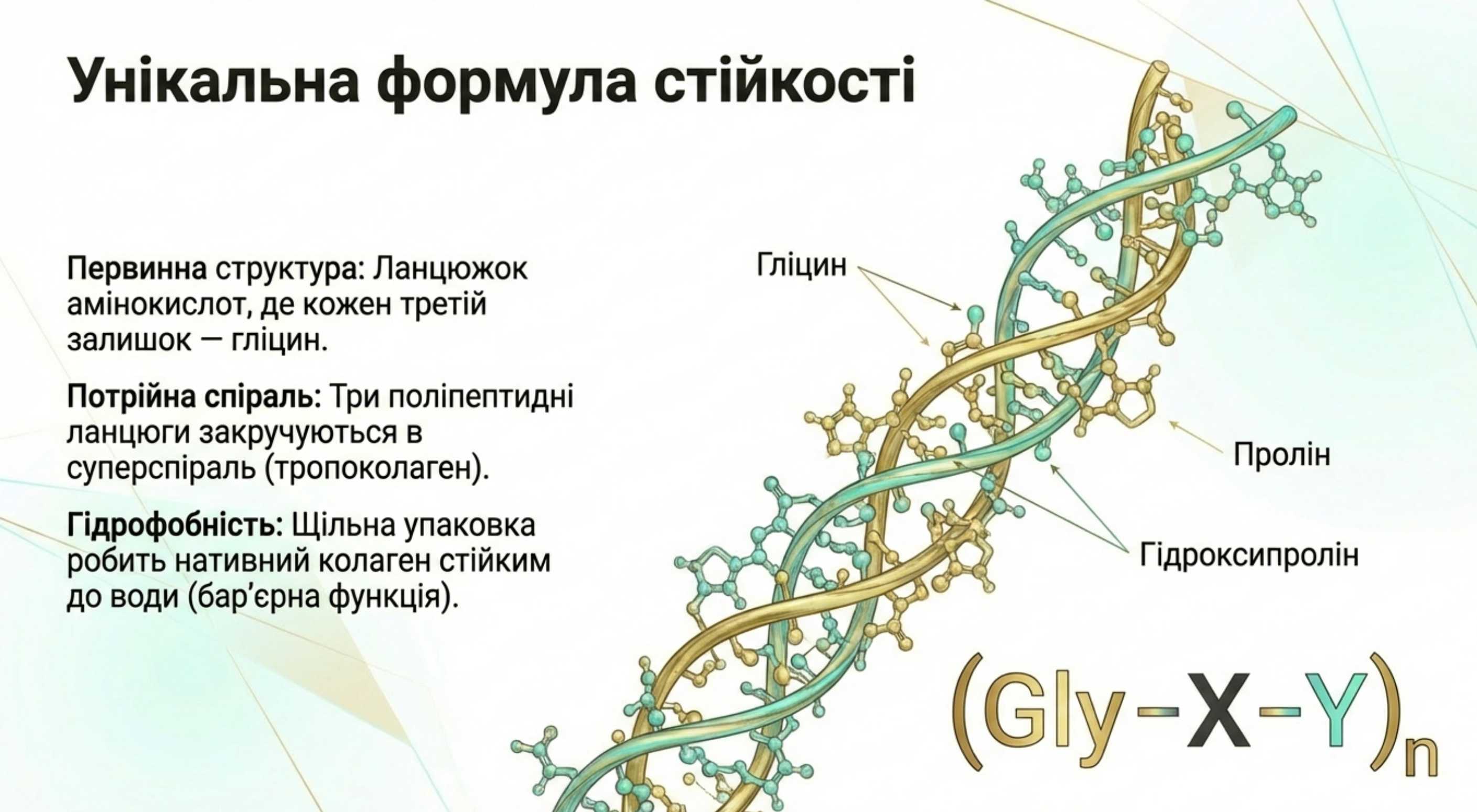 Фибриллярная структура и уникальная формула