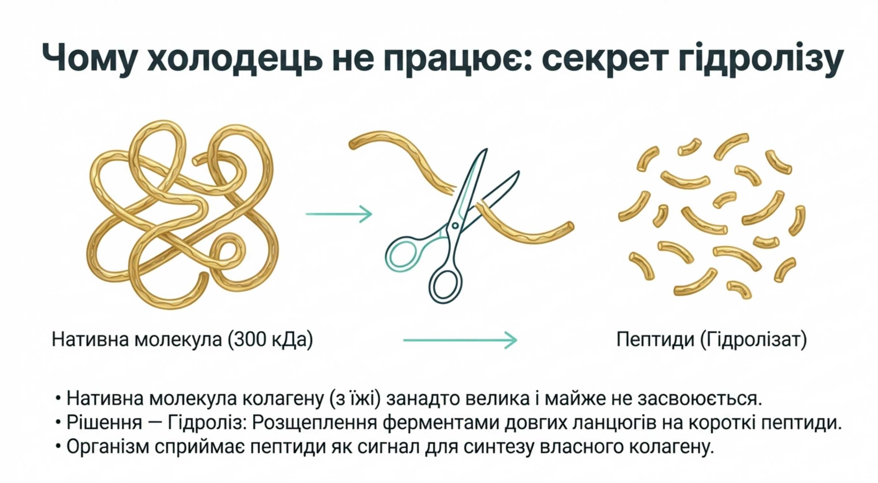 Технологии биодоступности. Гидролиз и кофакторы