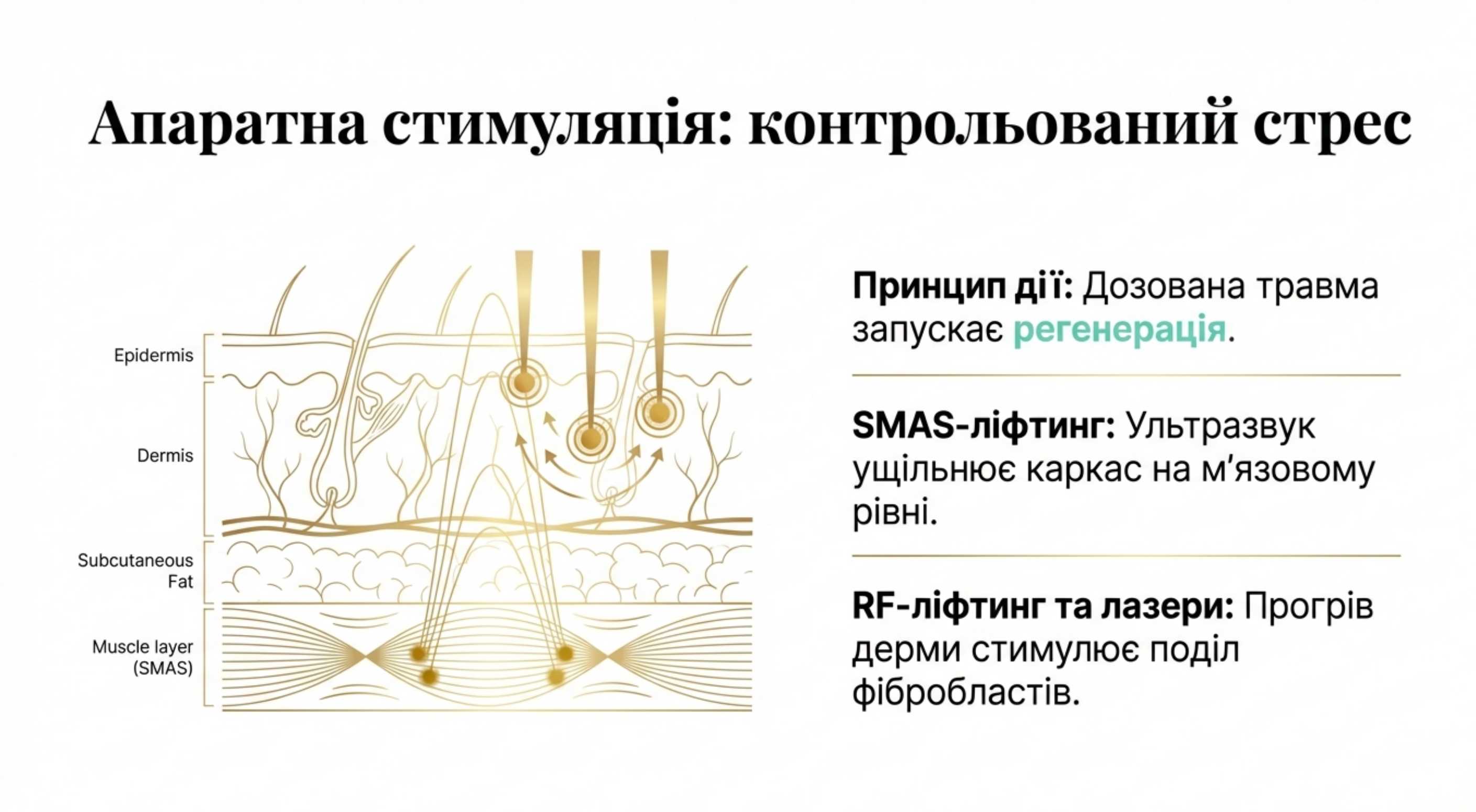 Апаратна стимуляція. Контрольований стрес