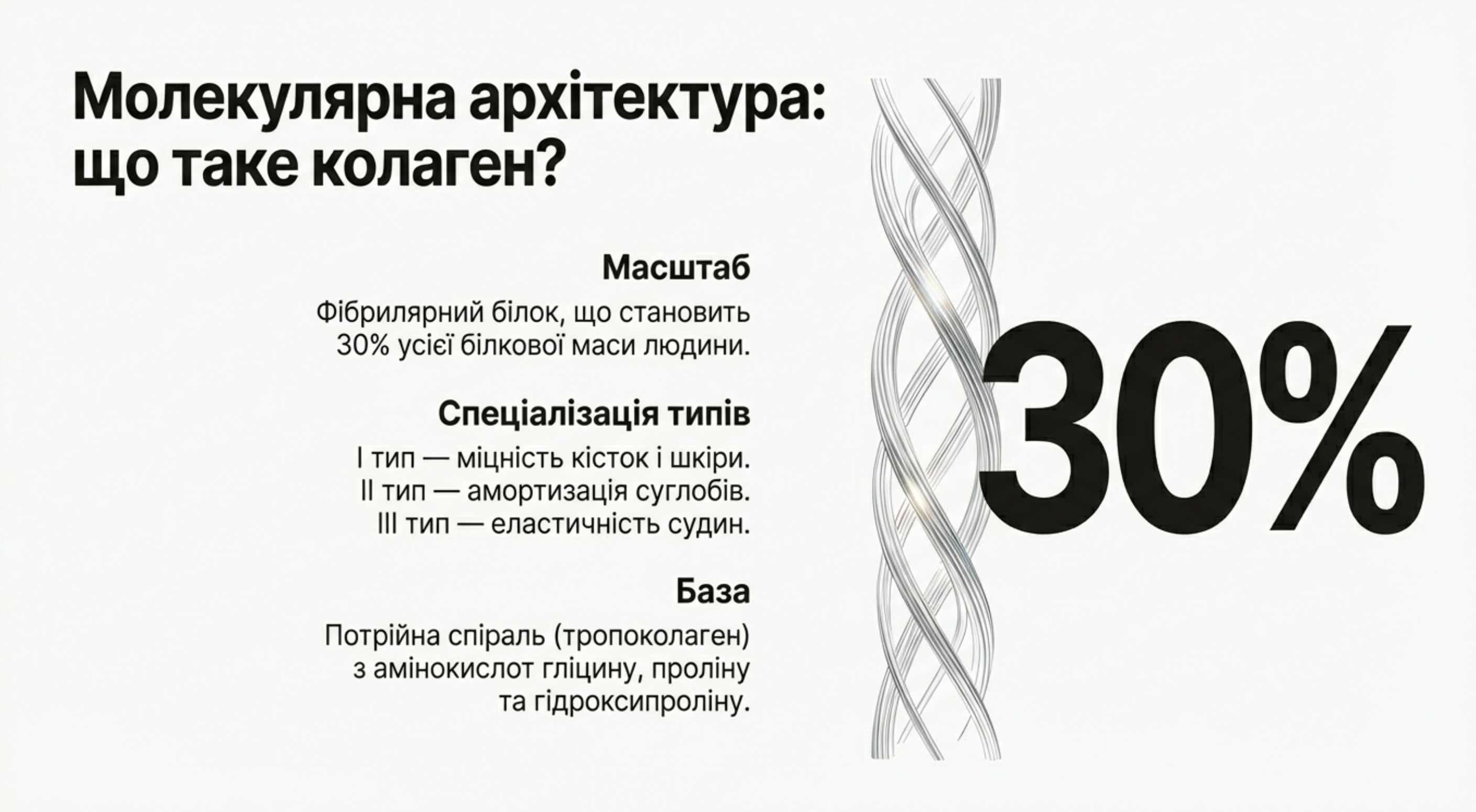 Молекулярна архітектура. Що таке коллаген і в чому він міститься