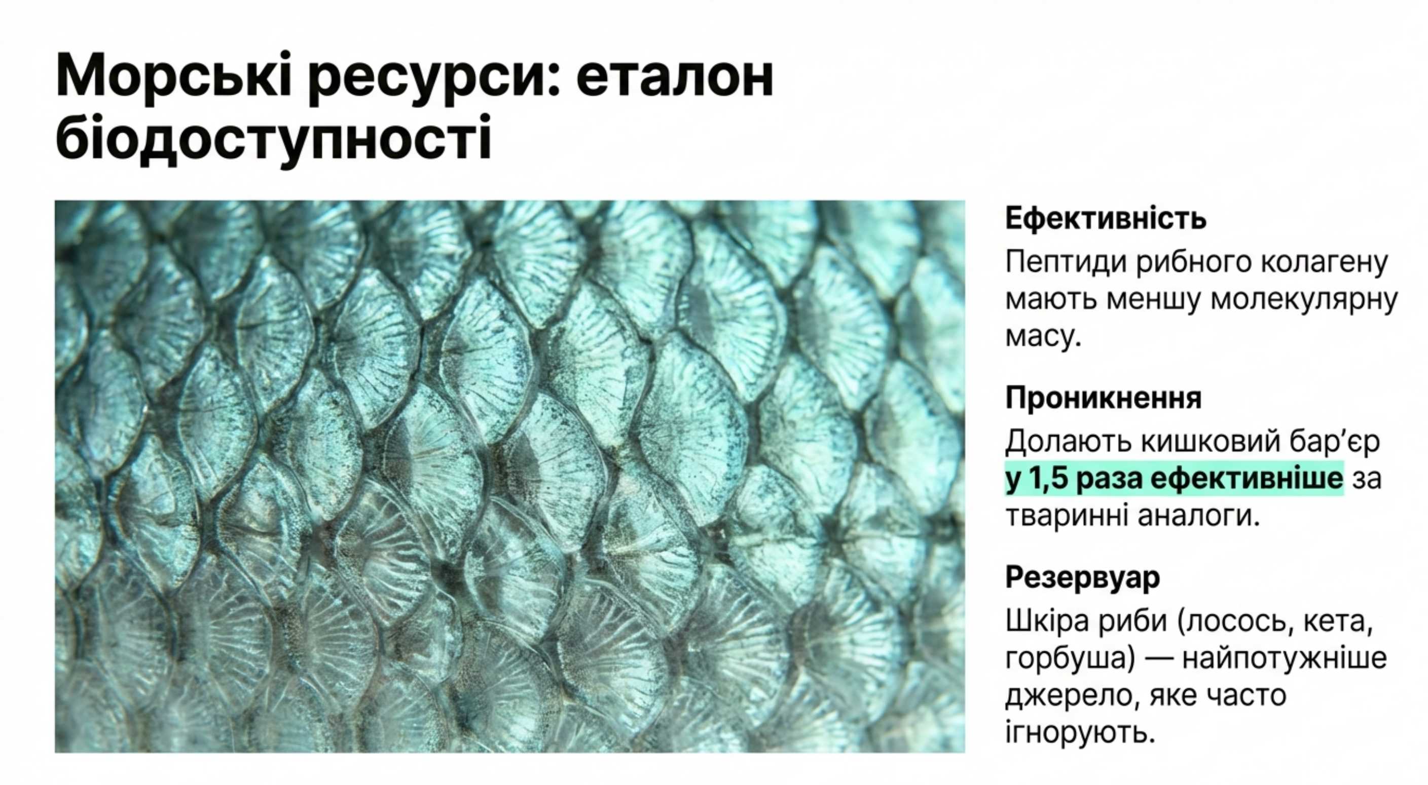Морські ресурси. Найкраще джерело коллагену по біодоступності