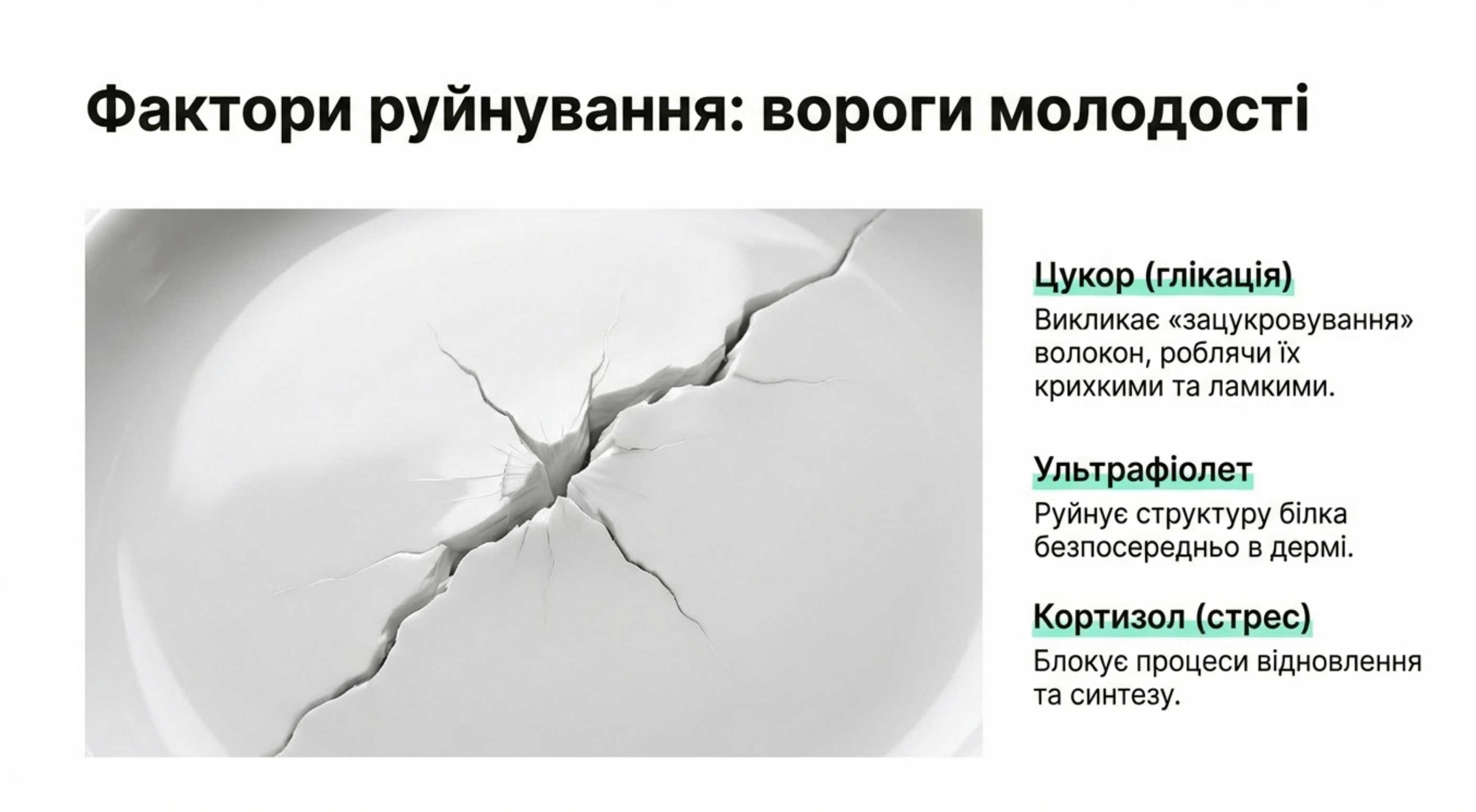 Вороги і друзі. Як зберегти і примножити капітал молодості
