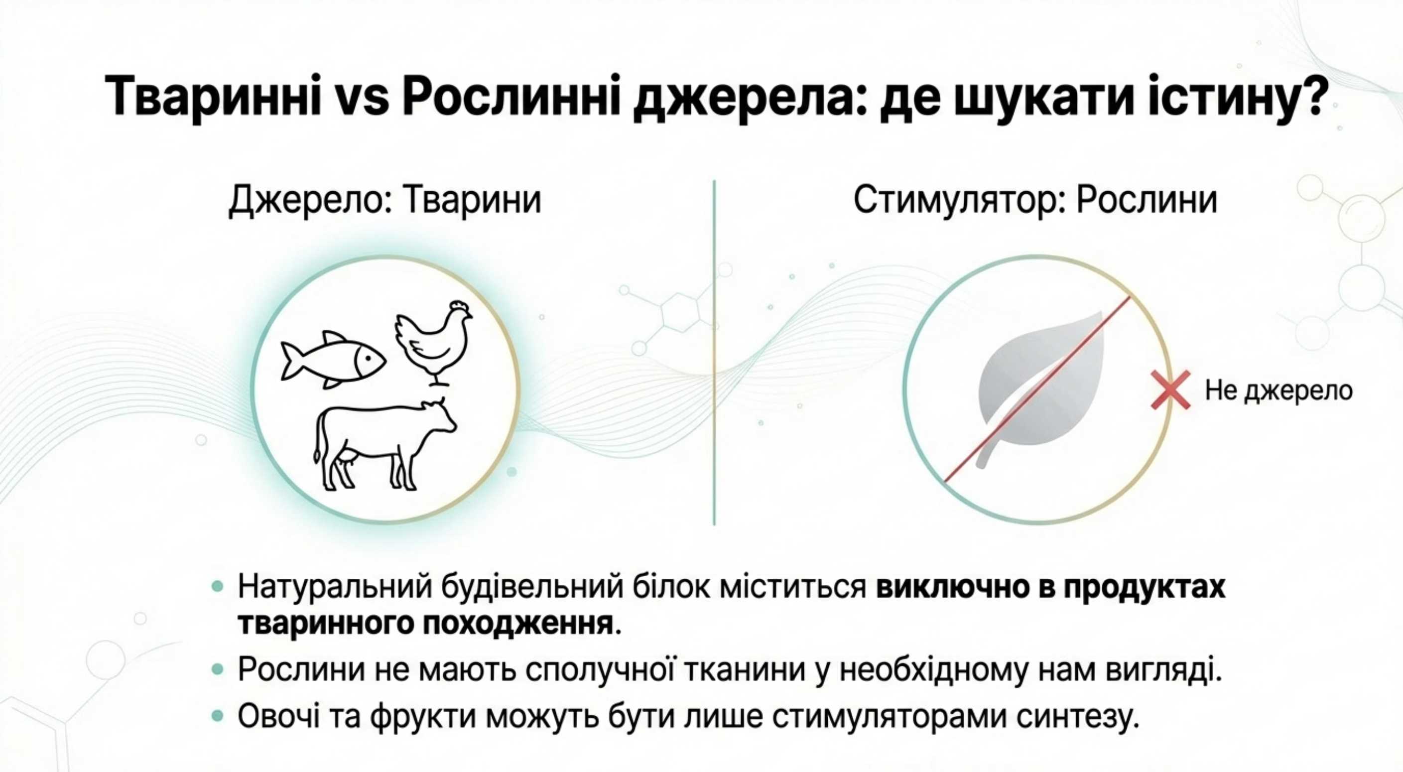 Тваринні джерела. У яких продуктах найбільше колагену