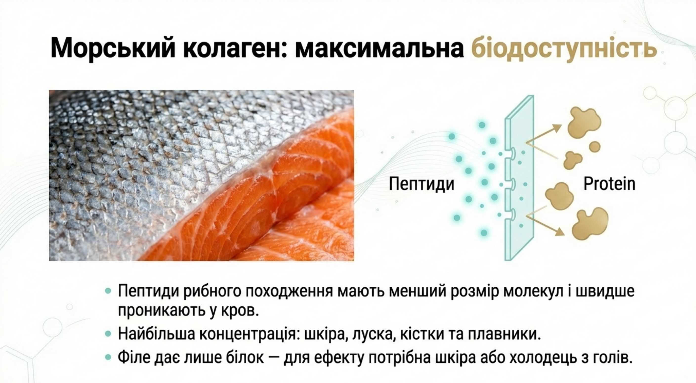 2. Риба і морепродукти (Морський колаген)
