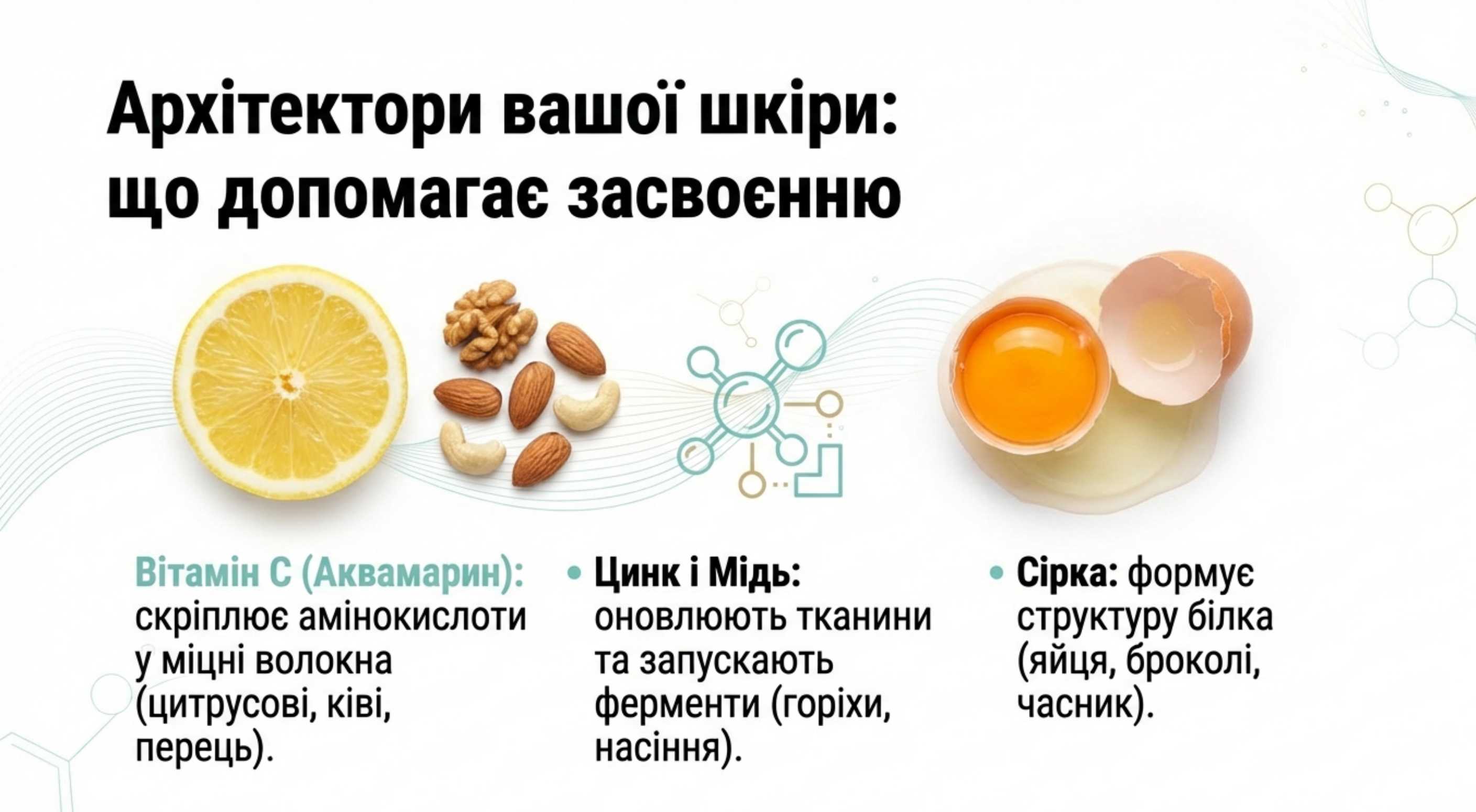 Які продукти стимулюють виробництво колагену та еластину?