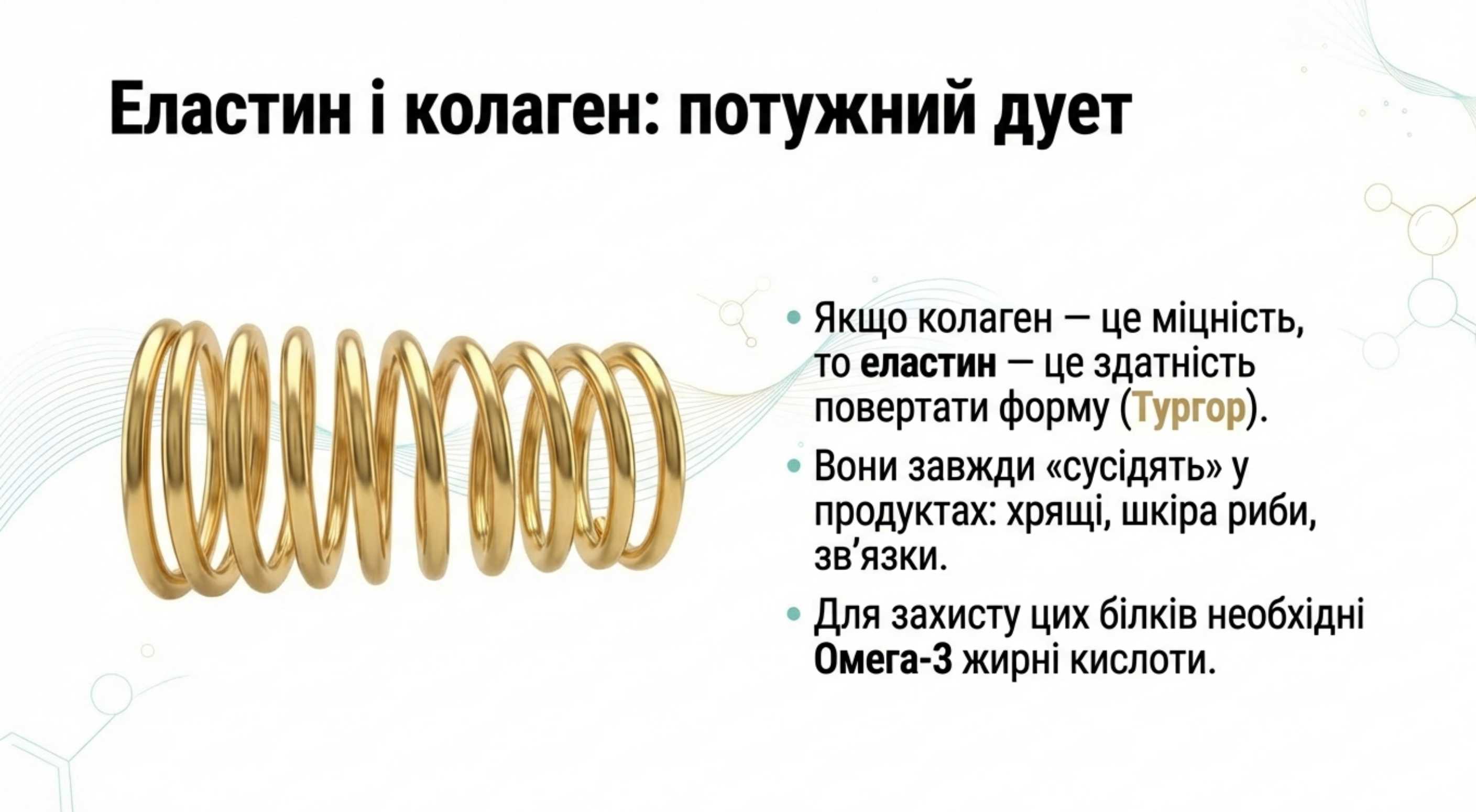 Колаген та еластин в продуктах. Потужний дует для тургору шкіри