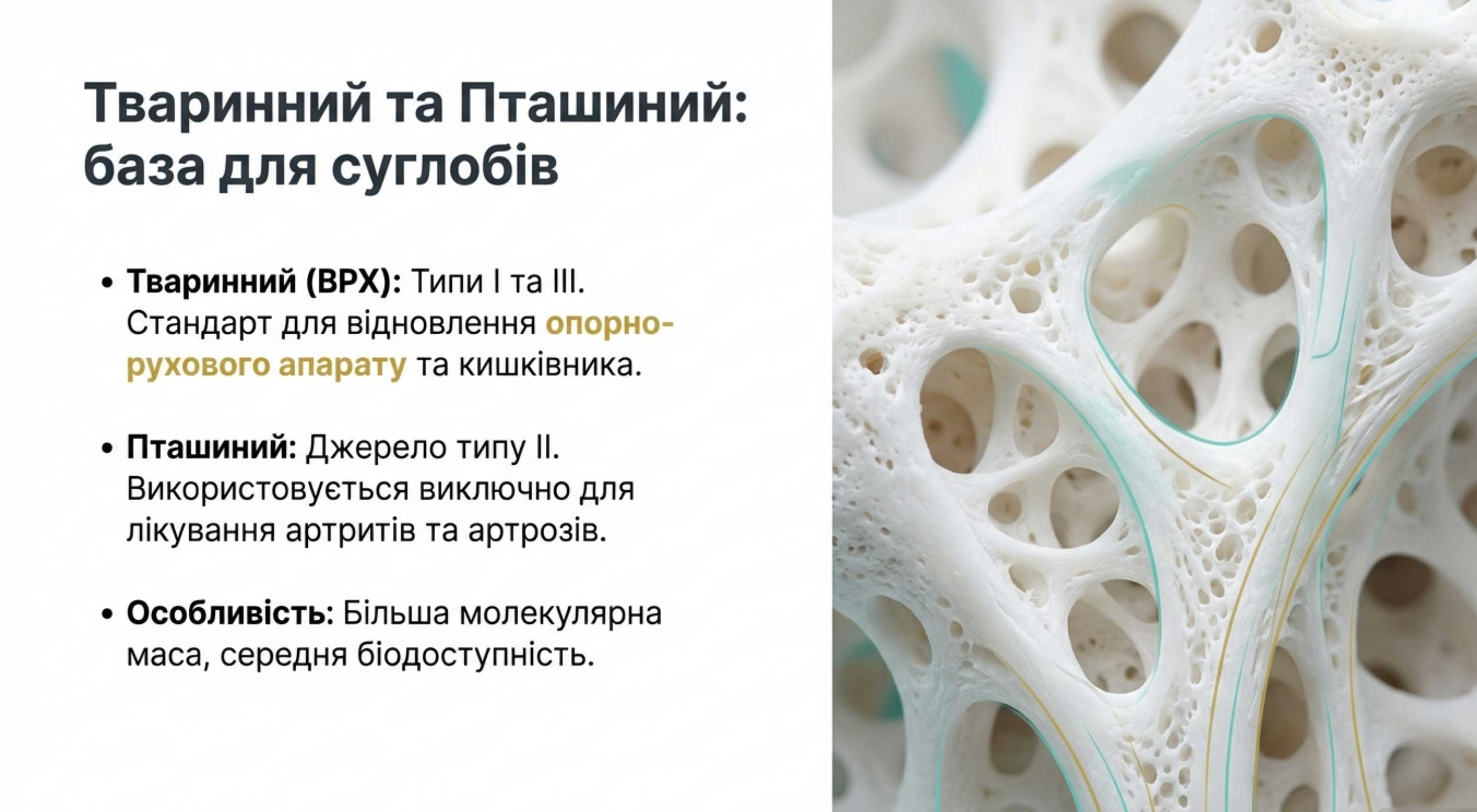 1. Тваринний коллаген