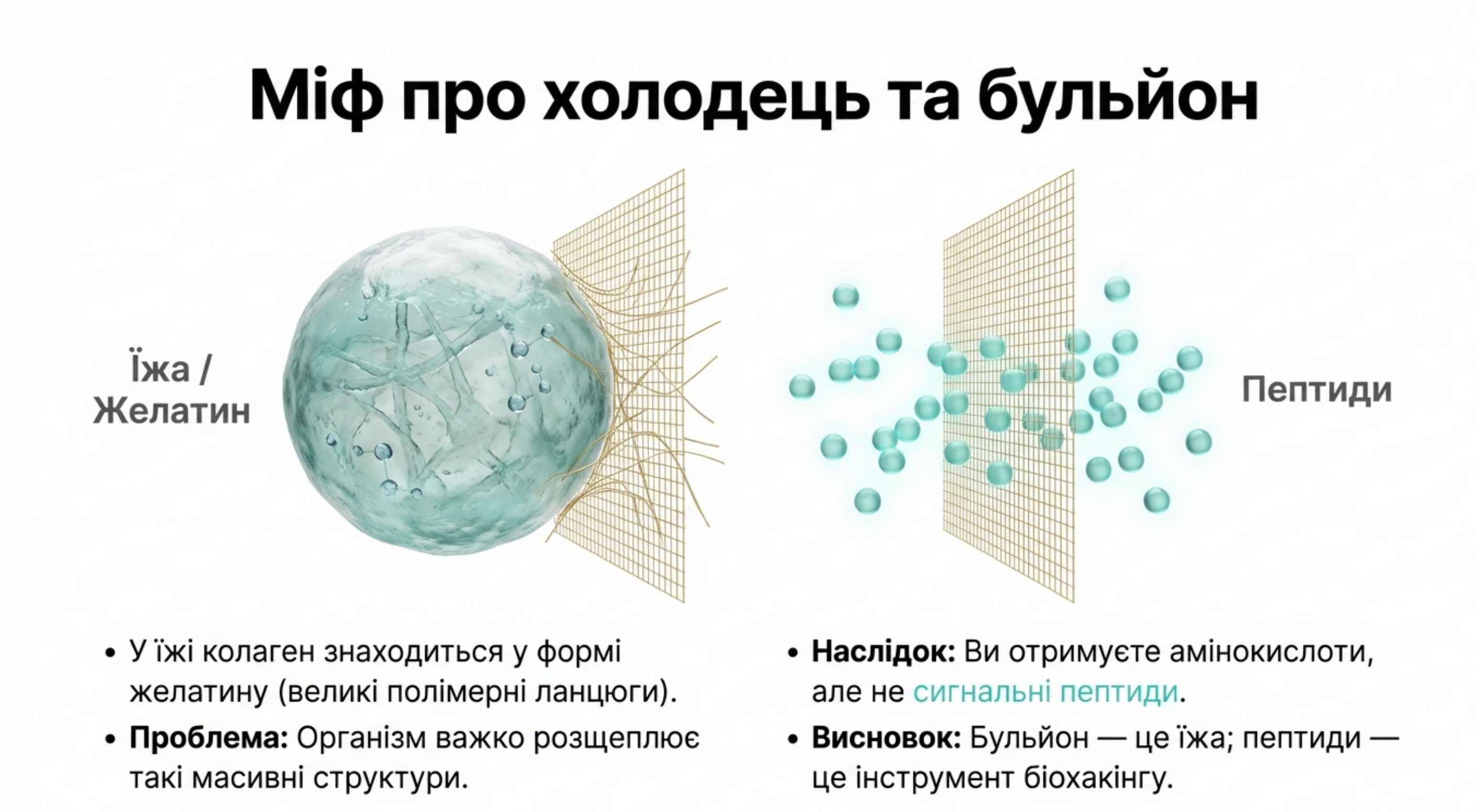 Продуктові джерела vs Гідролізати. Розрушення міфів