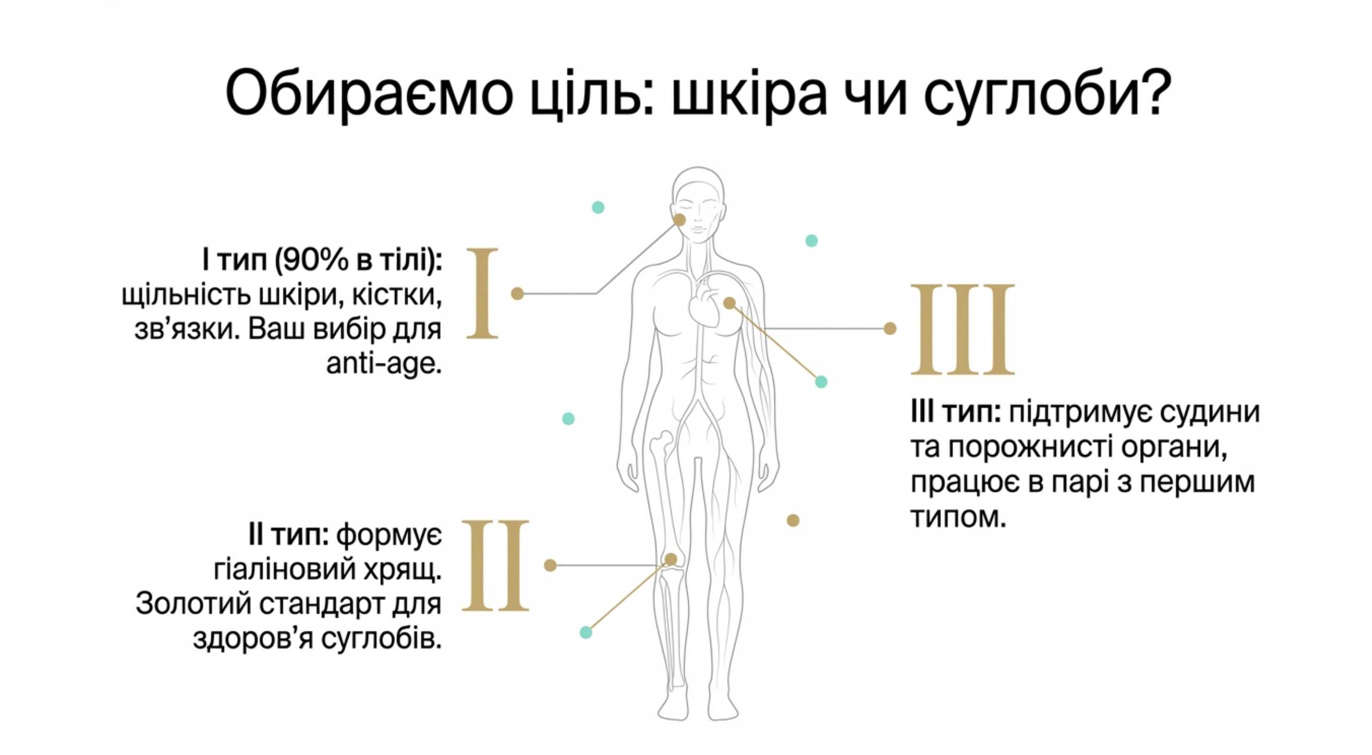 Типологія коллагена. Стратегічний вибір