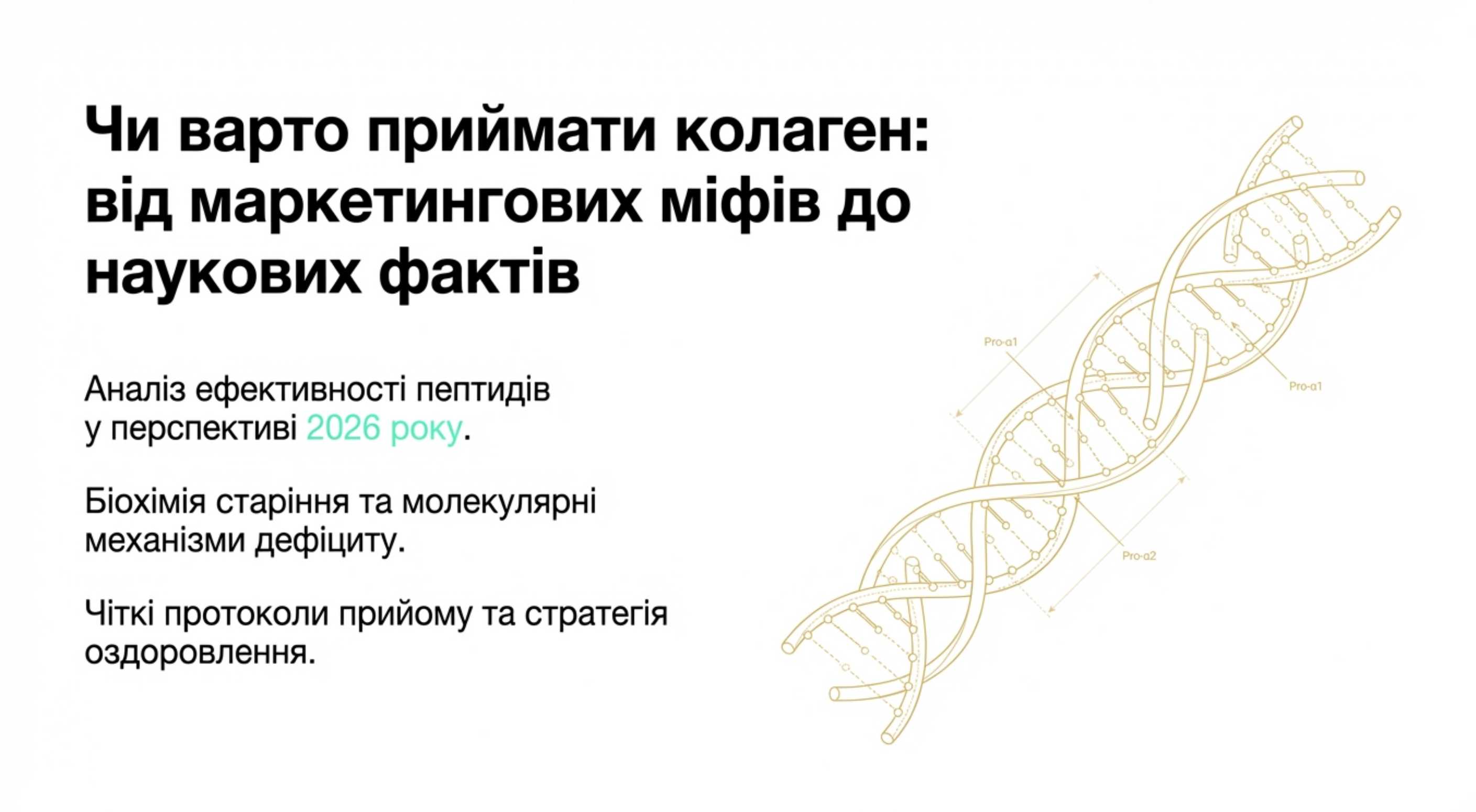 Біохімія старіння. Чому виникає питання, чи потрібен колаген?