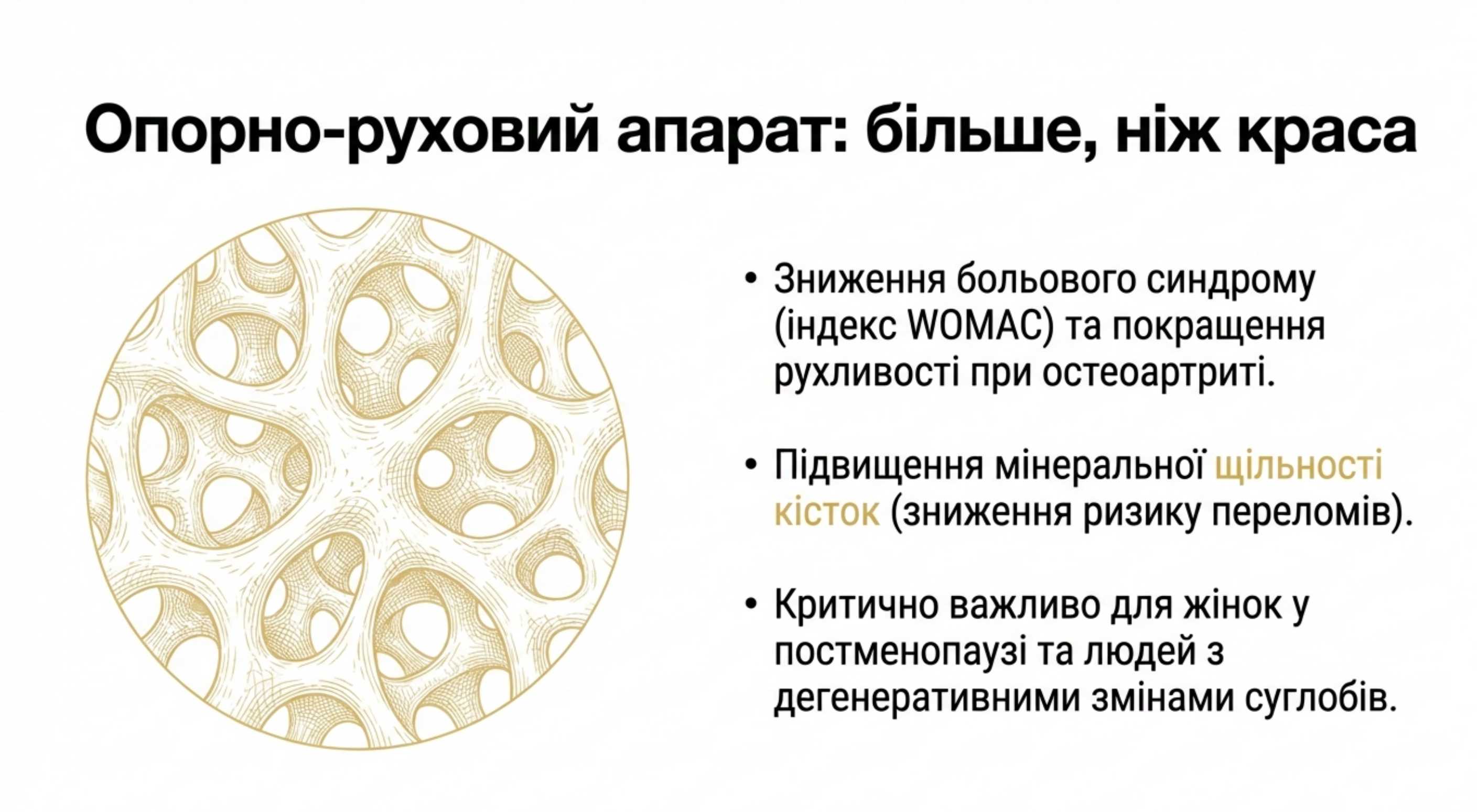 2. Ортопедія і ревматологія. Суглоби і кістки