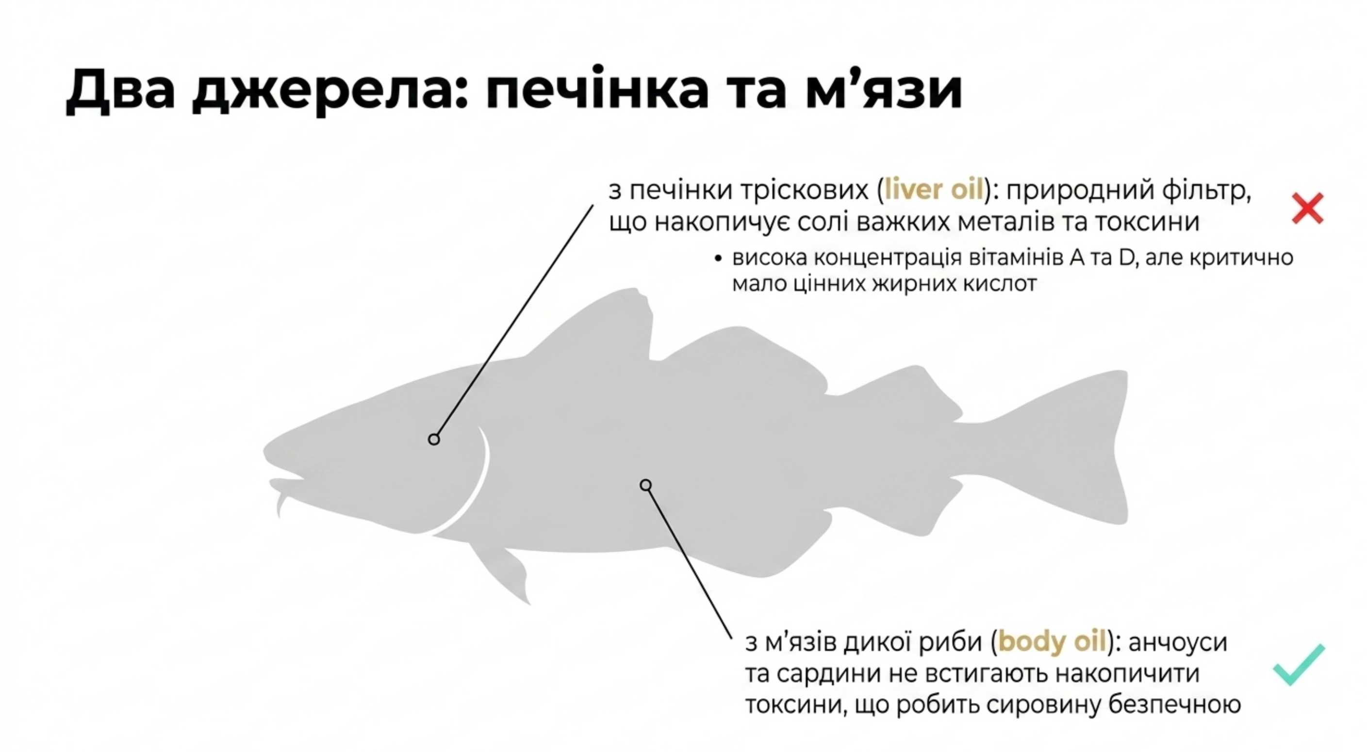 Що таке риб'ячий жир?