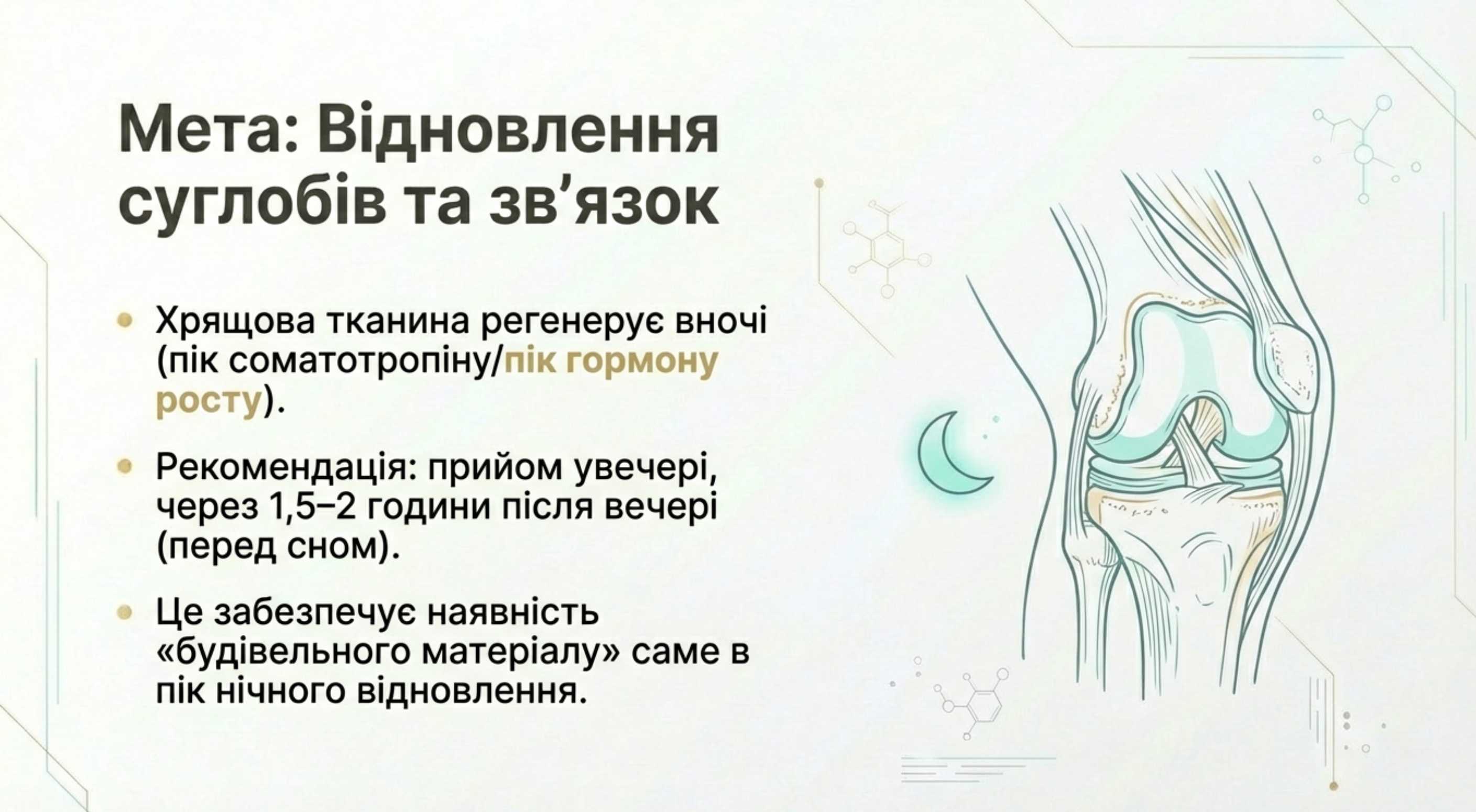 2. Відновлення суглобів та зв'язок
