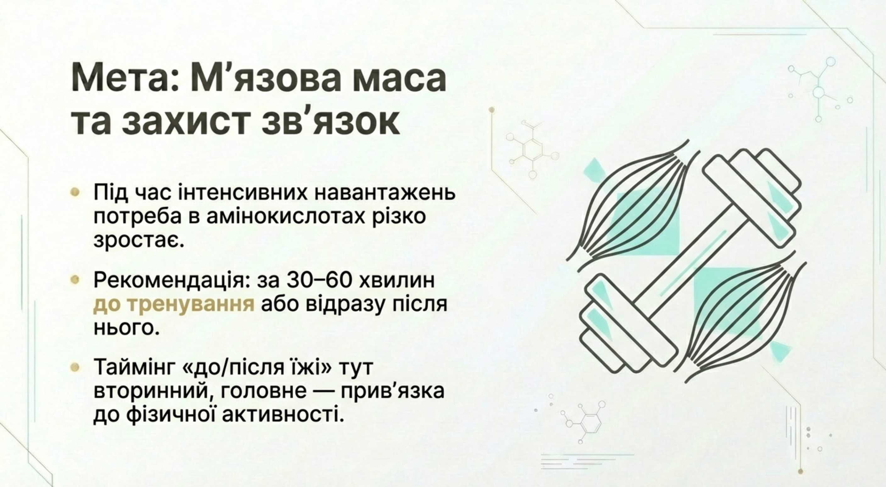 3. Спорт і м'язова маса
