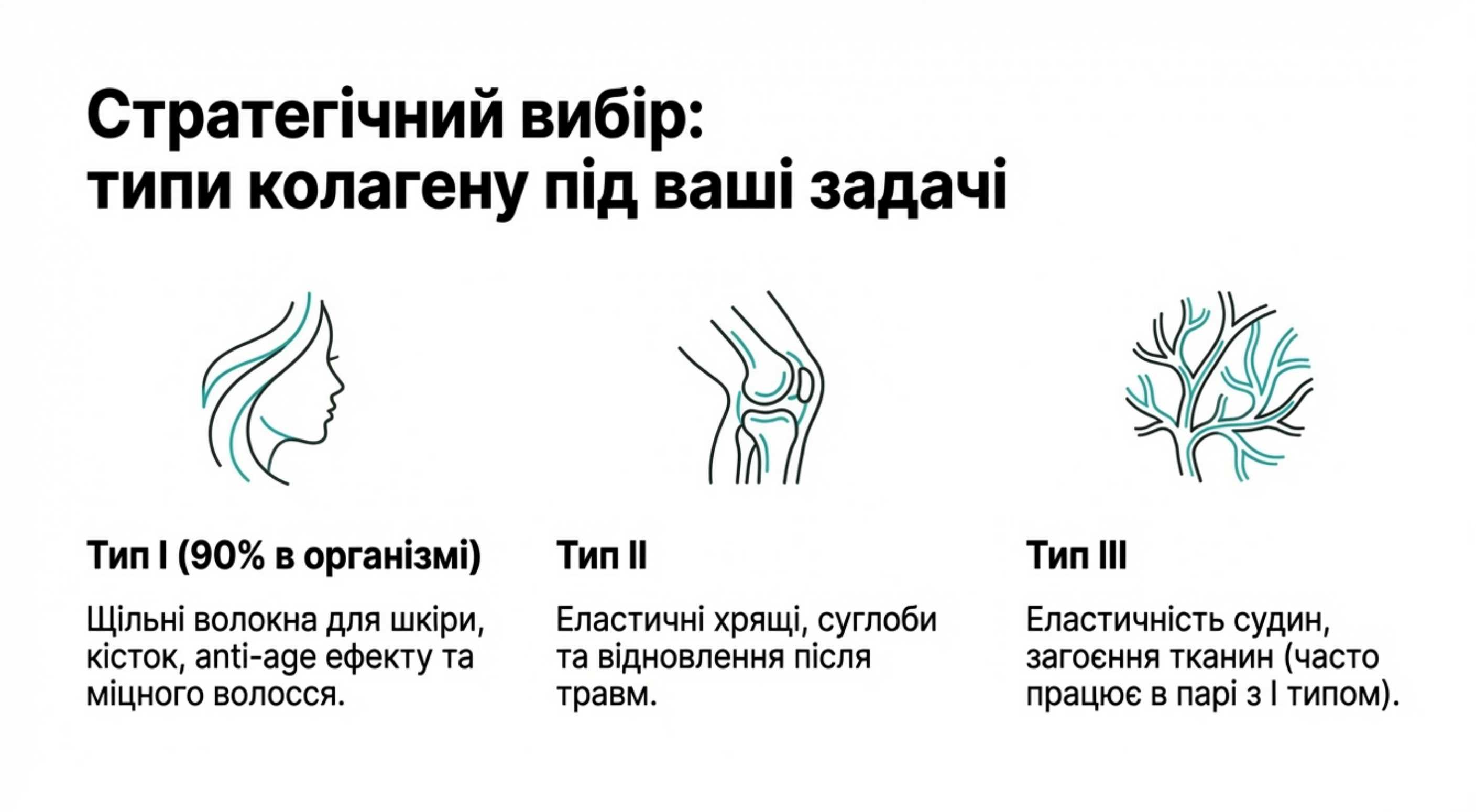 Типологія коллагена. Стратегічний вибір під задачі