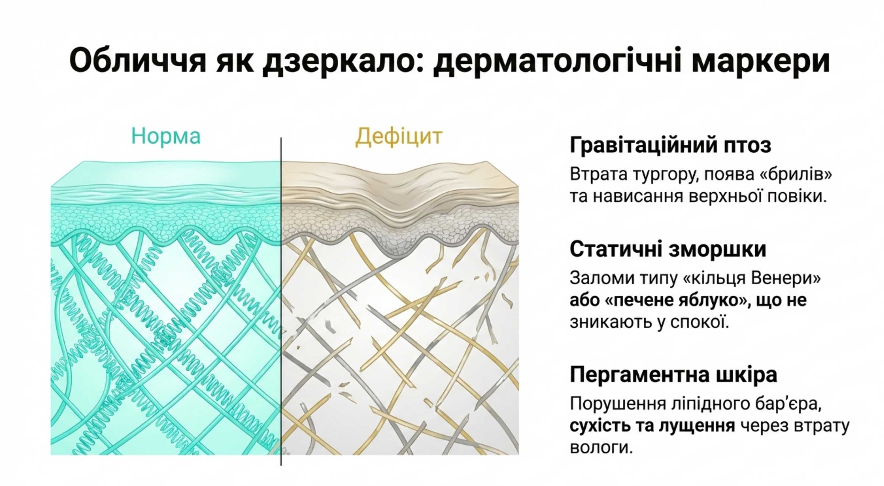 Дерматологічні маркери. Візуальна нестача коллагену ознаки