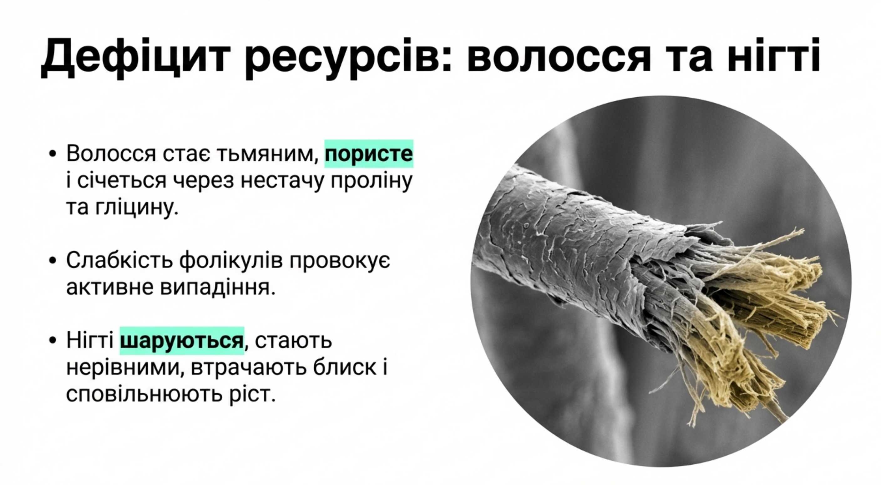 4. Проблеми з придатками шкіри (волосся та нігті)