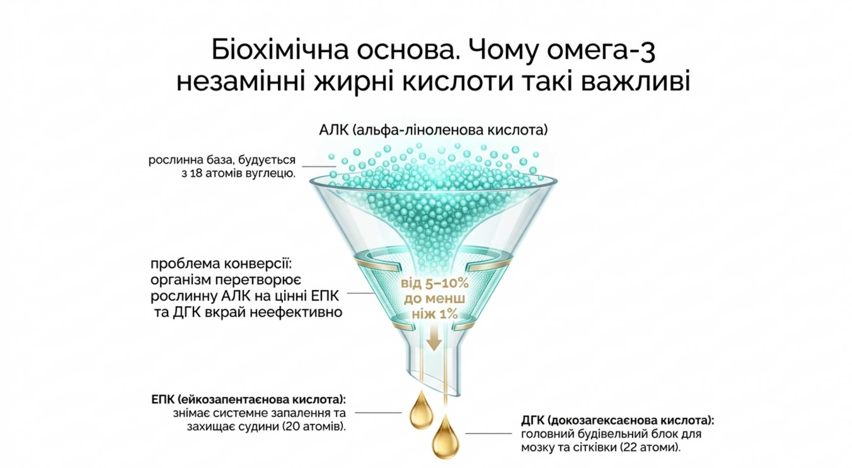 Біохімічна основа. Чому омега 3 незамінні жирні кислоти так важливі