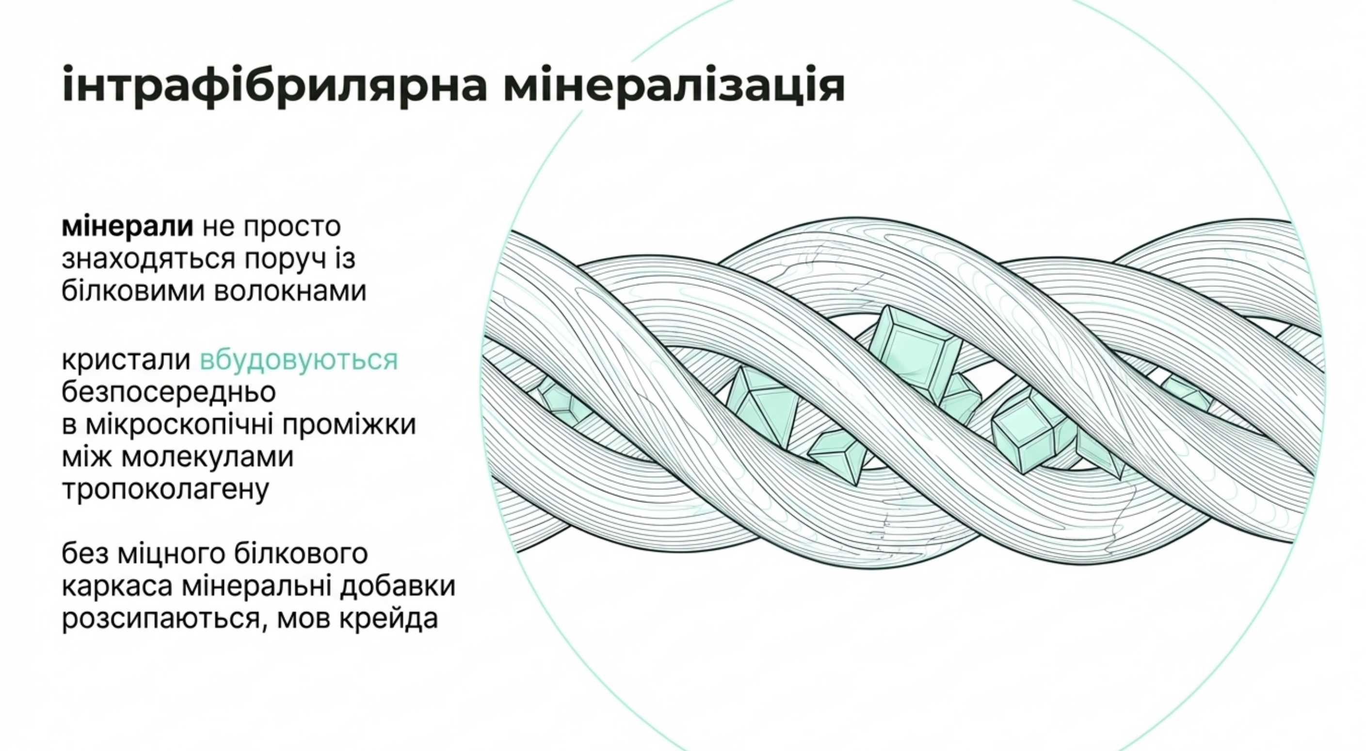 Інтрафібрилярна мінералізація